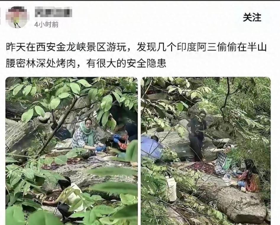 太让人气愤！印度这是把我们的森林当成他们自家后院了吗？   

秦岭防火区里竟有