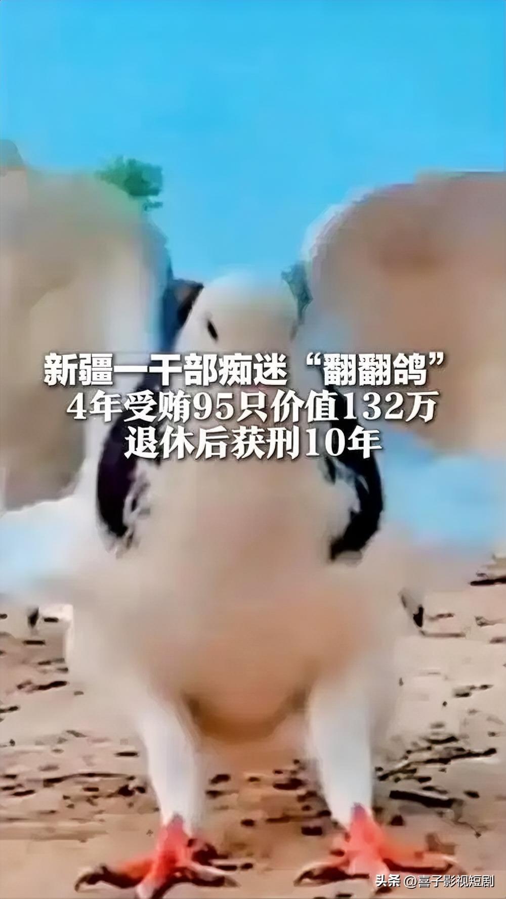 某地干部竟收受95只鸽子，总价值高达132万，其中最贵的一只竟达18万！这可不是