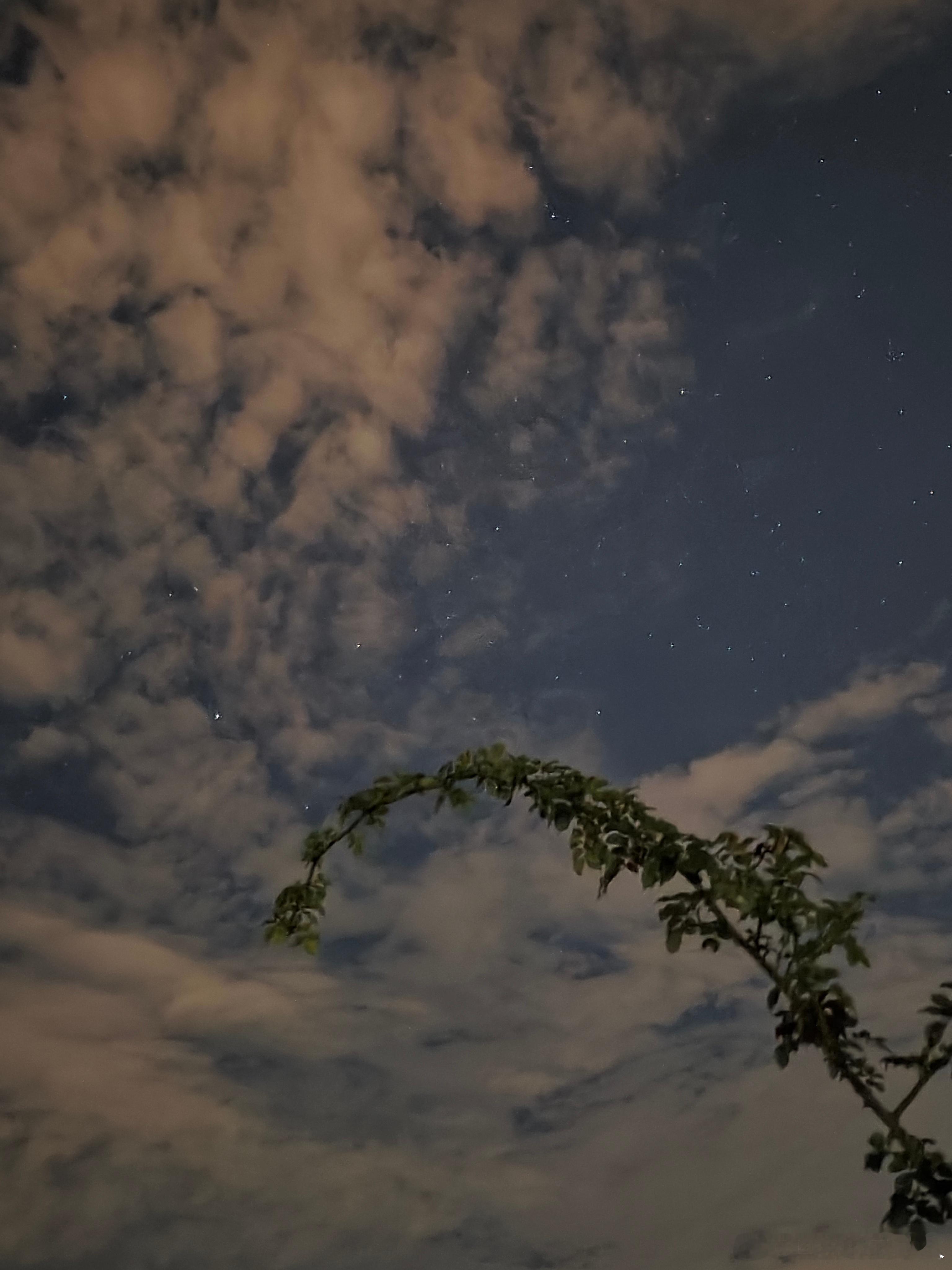 肉眼看不到的星星，小米相机能拍到。喜欢坐在民宿的顶楼看星星。膝盖上躺着我的看星星
