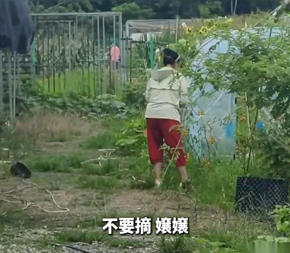 “打了农药！不能吃！”农学生喊得嗓子都劈了。
大妈停住脚，撇了撇嘴，手腕随随便便