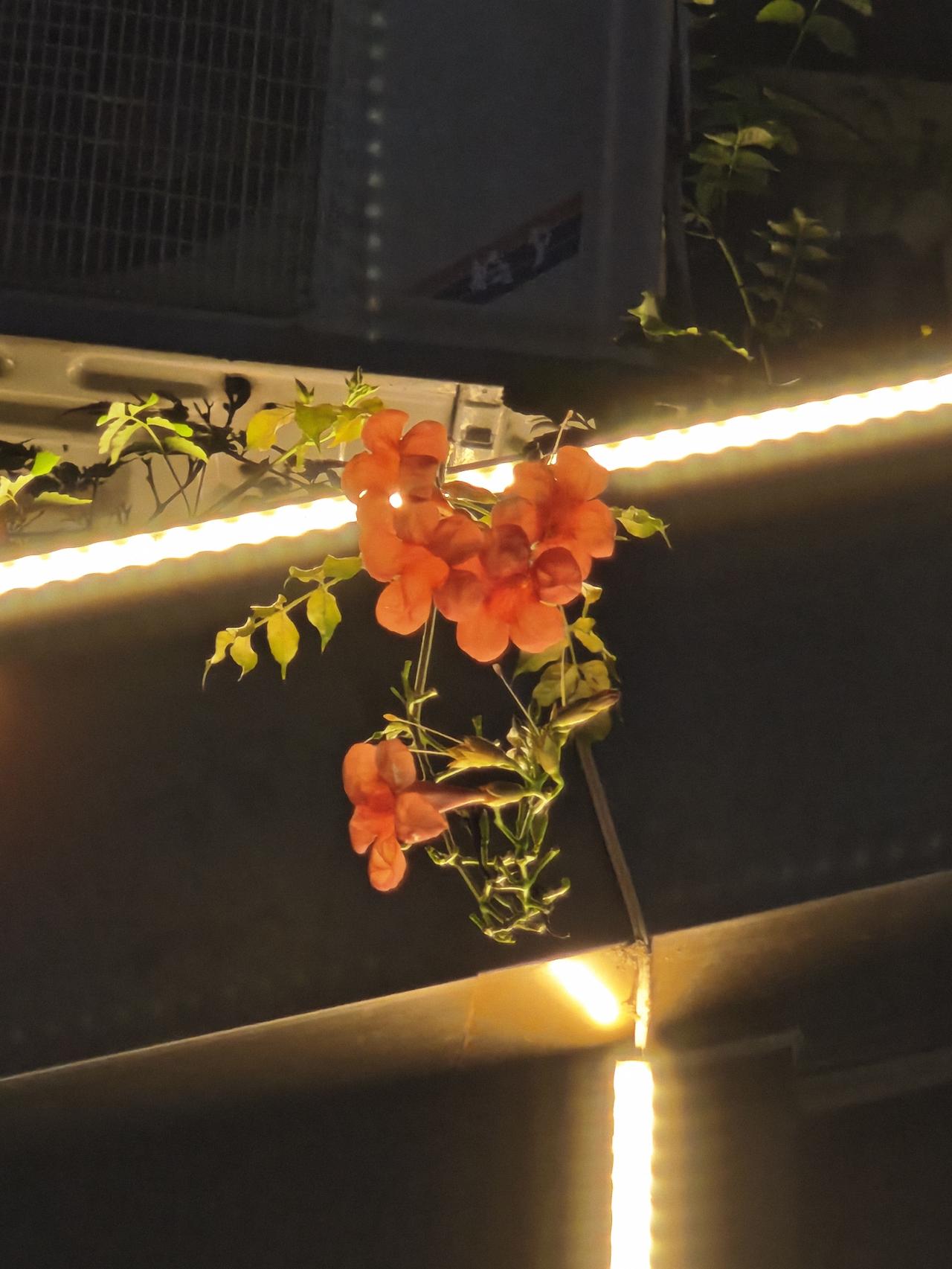 从八泉峡景区出来，入住在林州贝壳酒店，红旗渠广场附近。吃饭的时候，饭店门口的牌匾