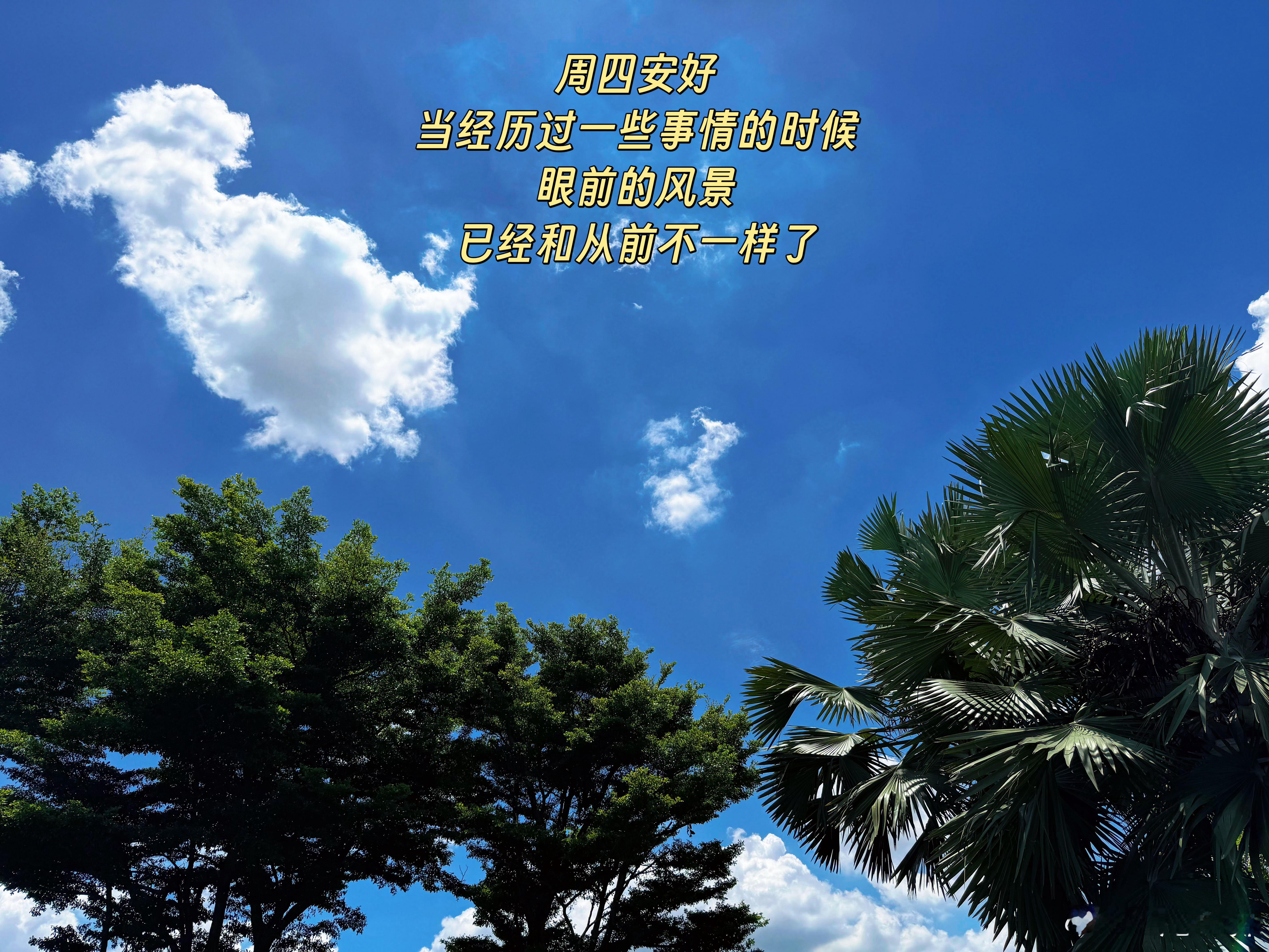 周四安好！当经历过一些事情的时候，眼前的风景，已经和从前不一样了。 泰国·Ekk
