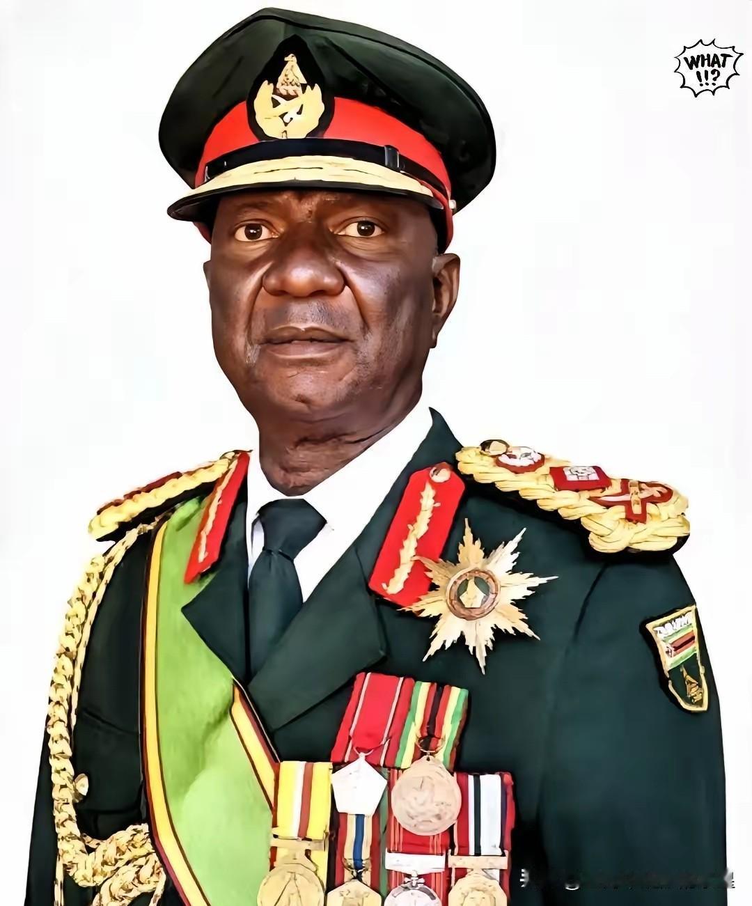 这世道真是变了，
刚看到李嘉诚在巴拿马吃瘪，
津巴布韦这边转头就给咱们上了一课。