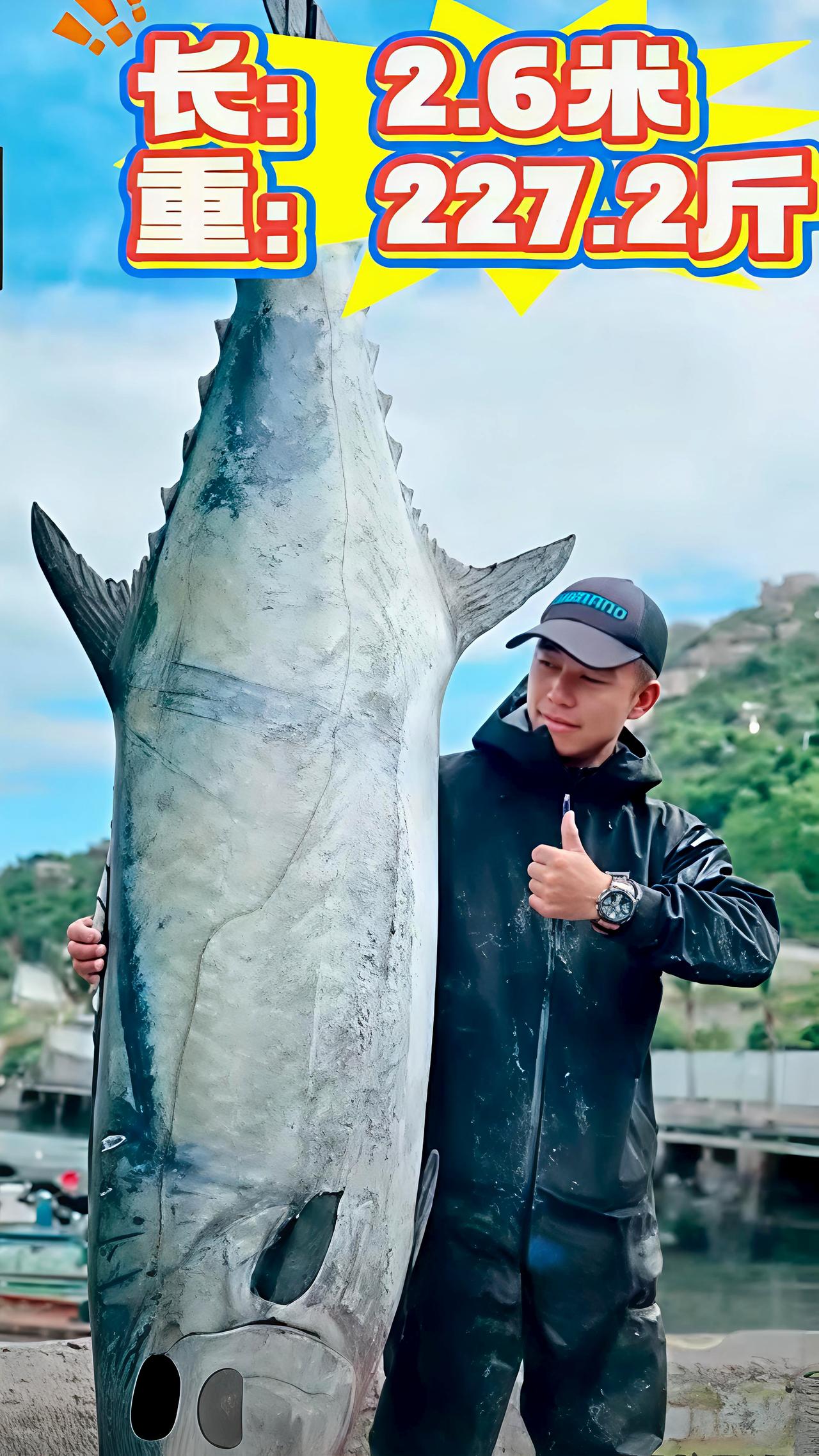 近日！珠海万山区一男子钓上来一条超大‘’中华马鲛鱼‘’，这鱼身长2.6米，有11