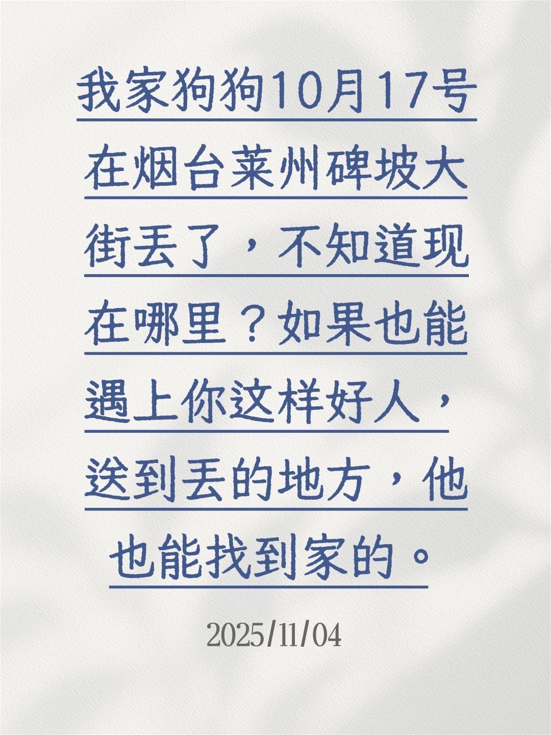 我家泰迪叫花生豆。我评论了 的作品: 我家狗狗10月17号在烟台莱州碑...