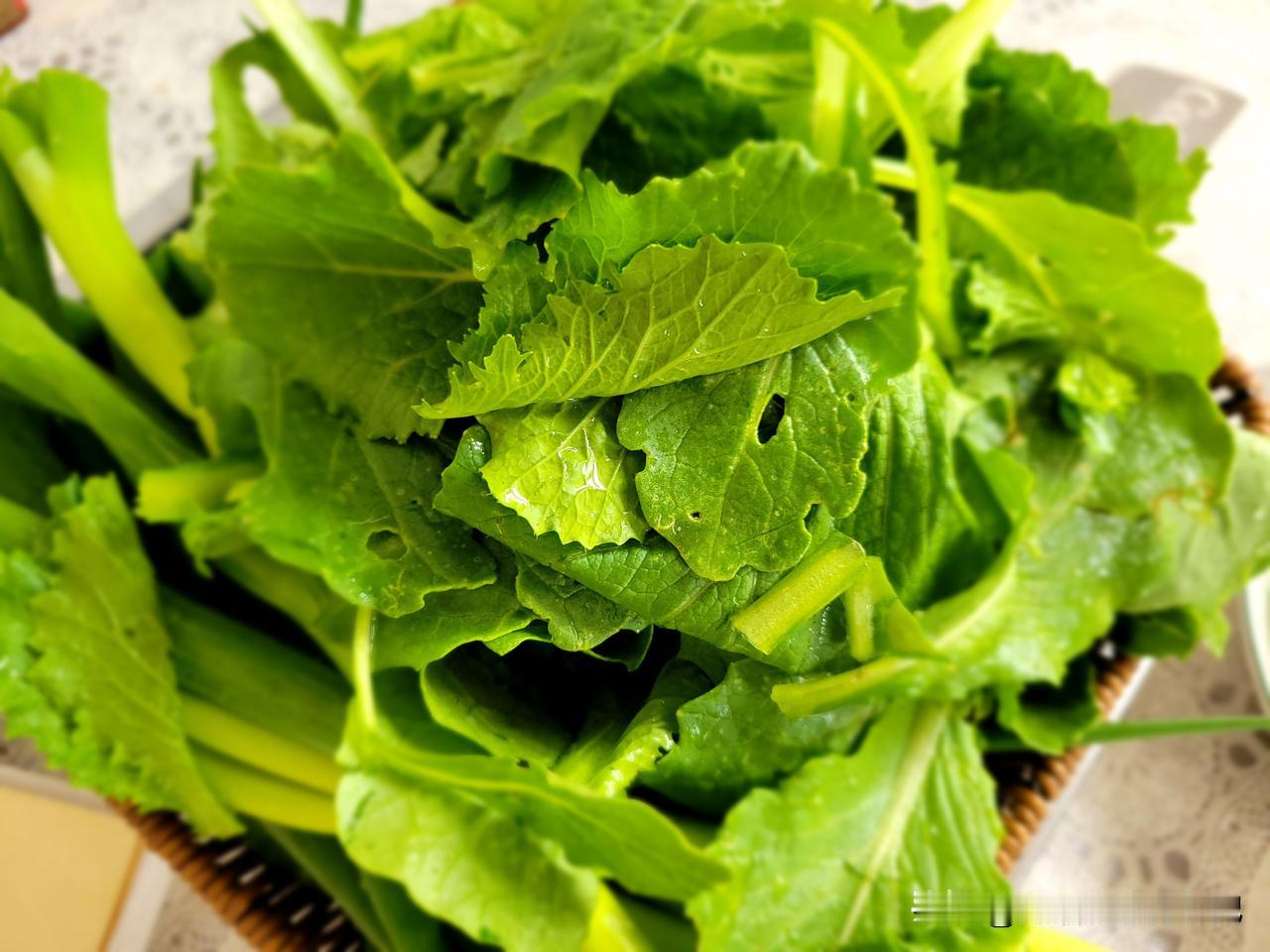 今早下了小雨，但我依然顶着毛毛细雨去了早市，竟然碰到一家卖有虫眼小白菜的，2块钱
