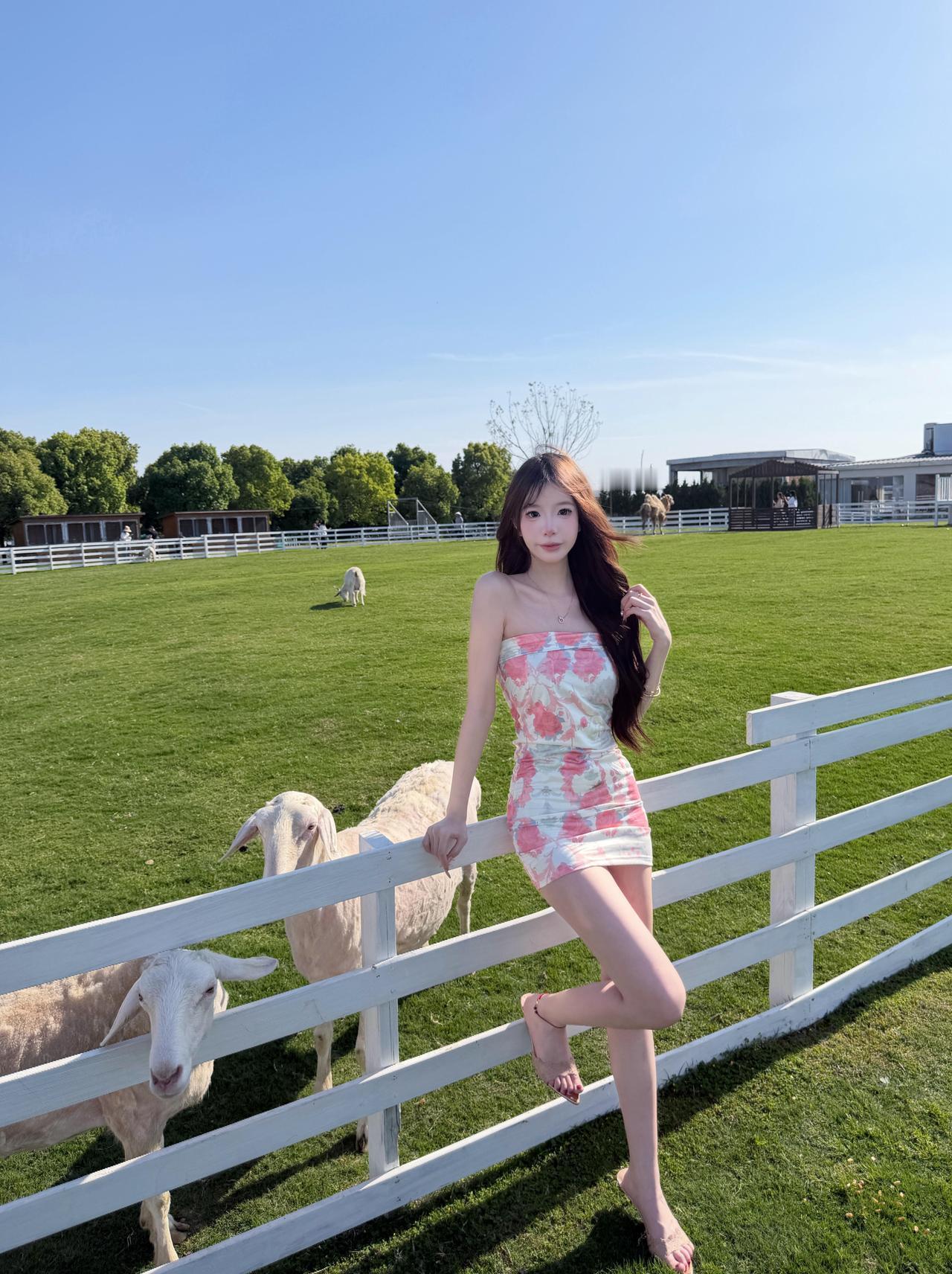 天气好好， 你也好好。