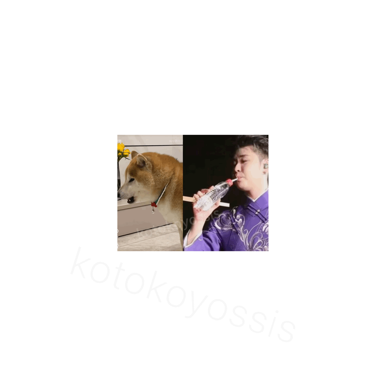🐶yueyue 