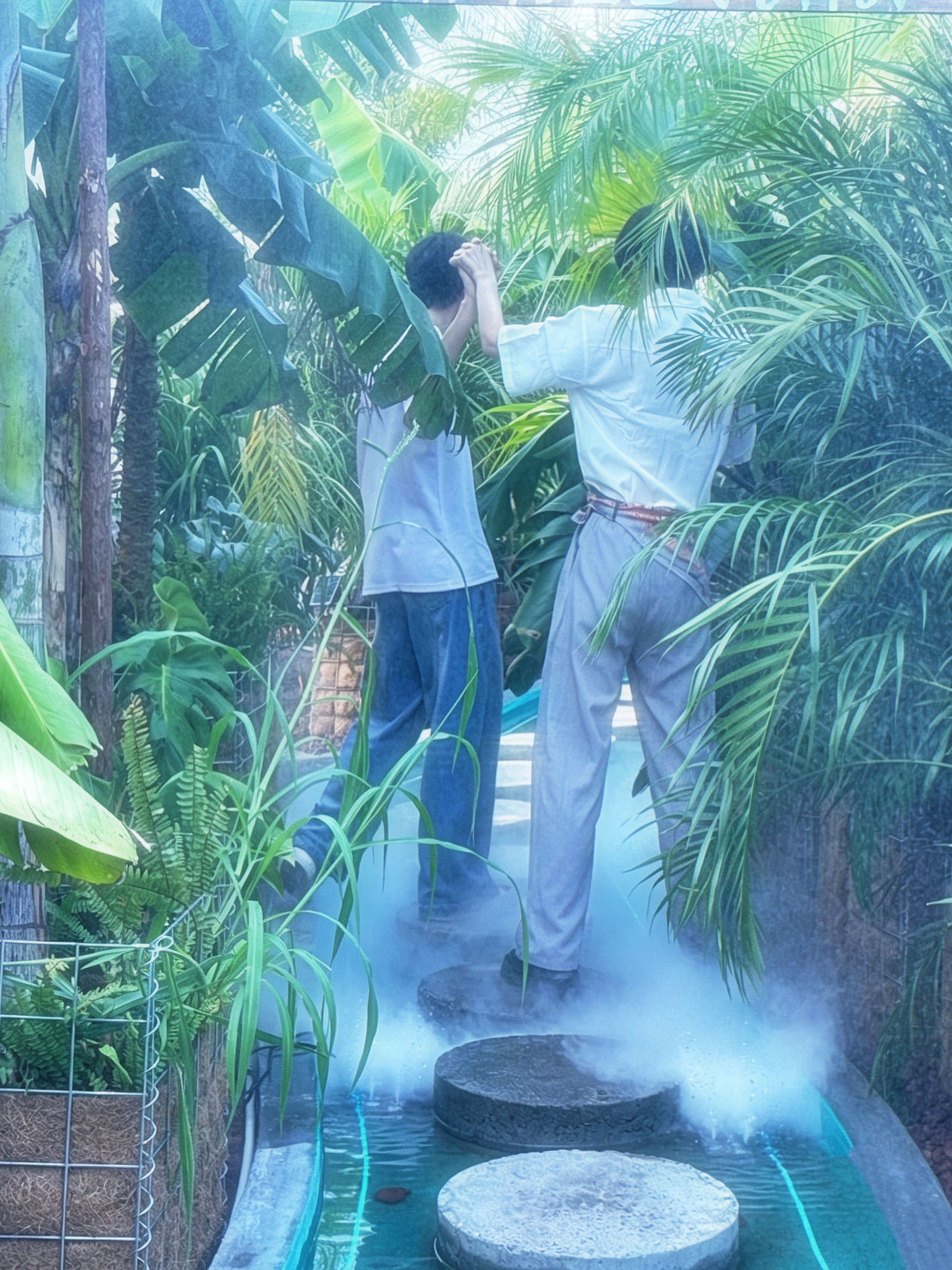 凯源  🌴🌴🌴  泰兰德、雨林、真爱  🌴🌴🌴           