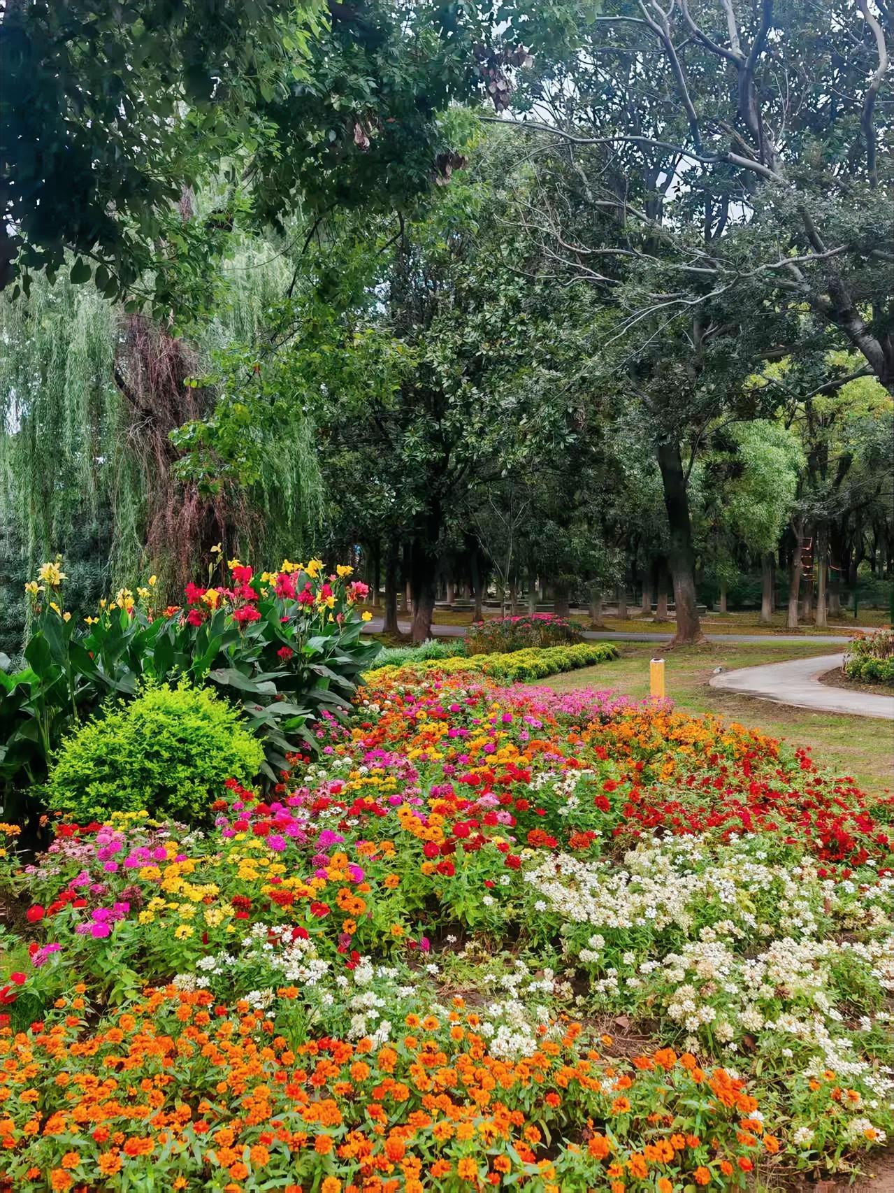可以分享一张秋景的树叶的照片吗？苏州花卉植物园。