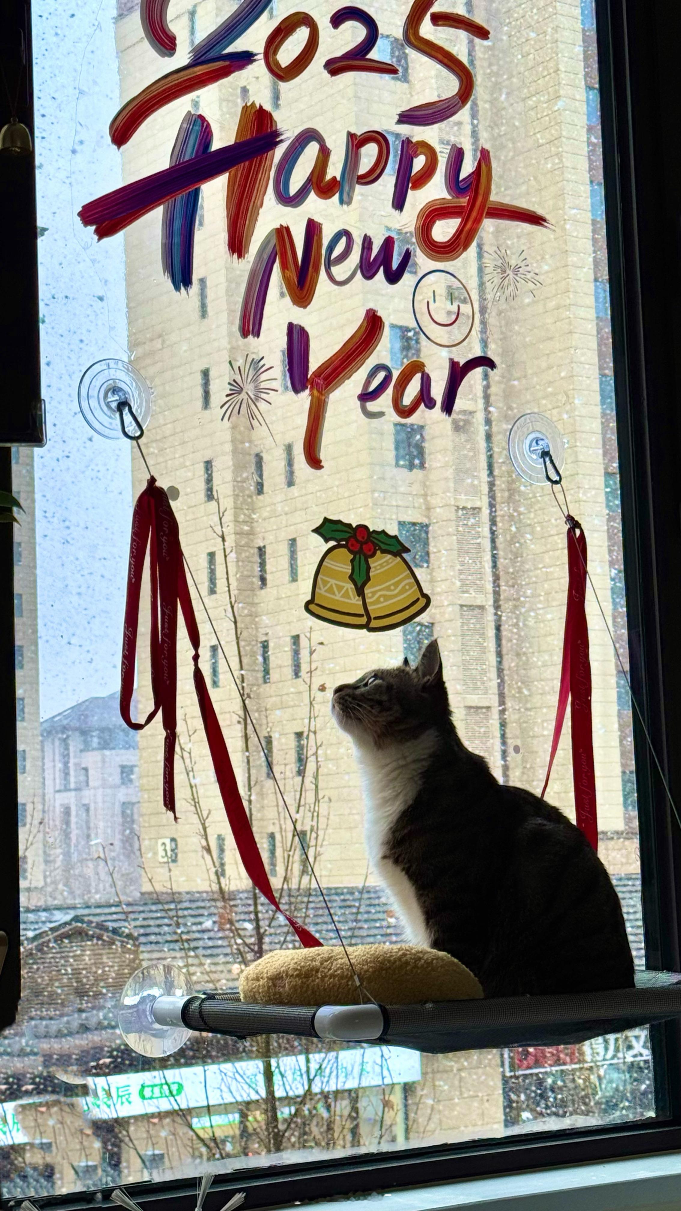 春雪❄️🐈🌧️ ​​​