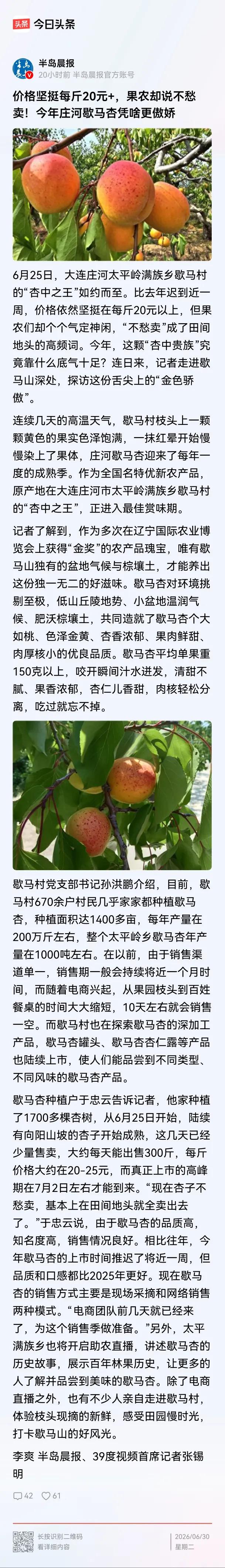 不管怎么说，歇马杏这个农业品牌能够做成功，能够广为流传，当地的老百姓和村委会，确