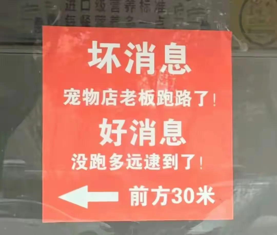 好家伙，倒是挺幽默的[狗头]