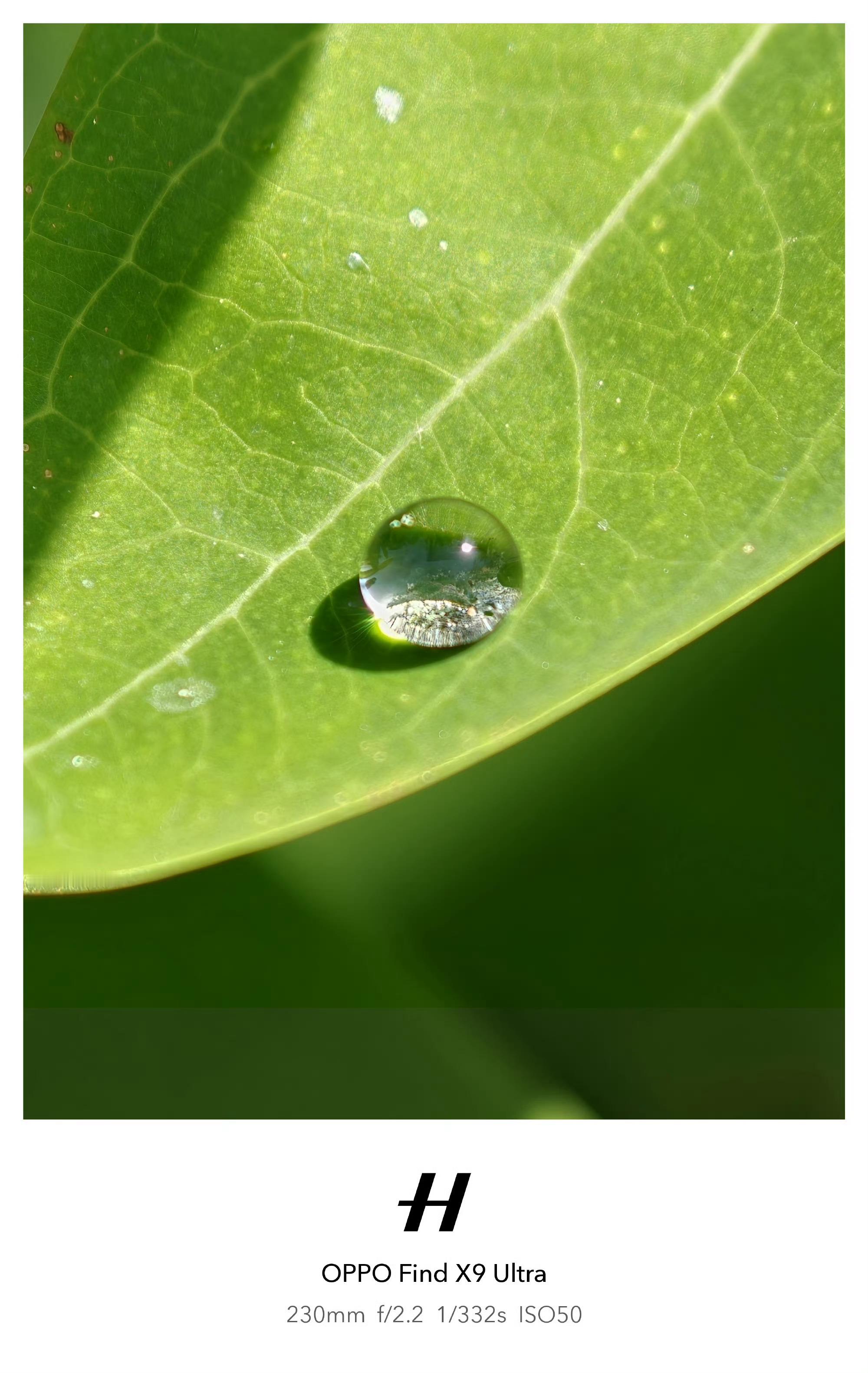一台影像性能好的手机，真的会让人增加分享欲