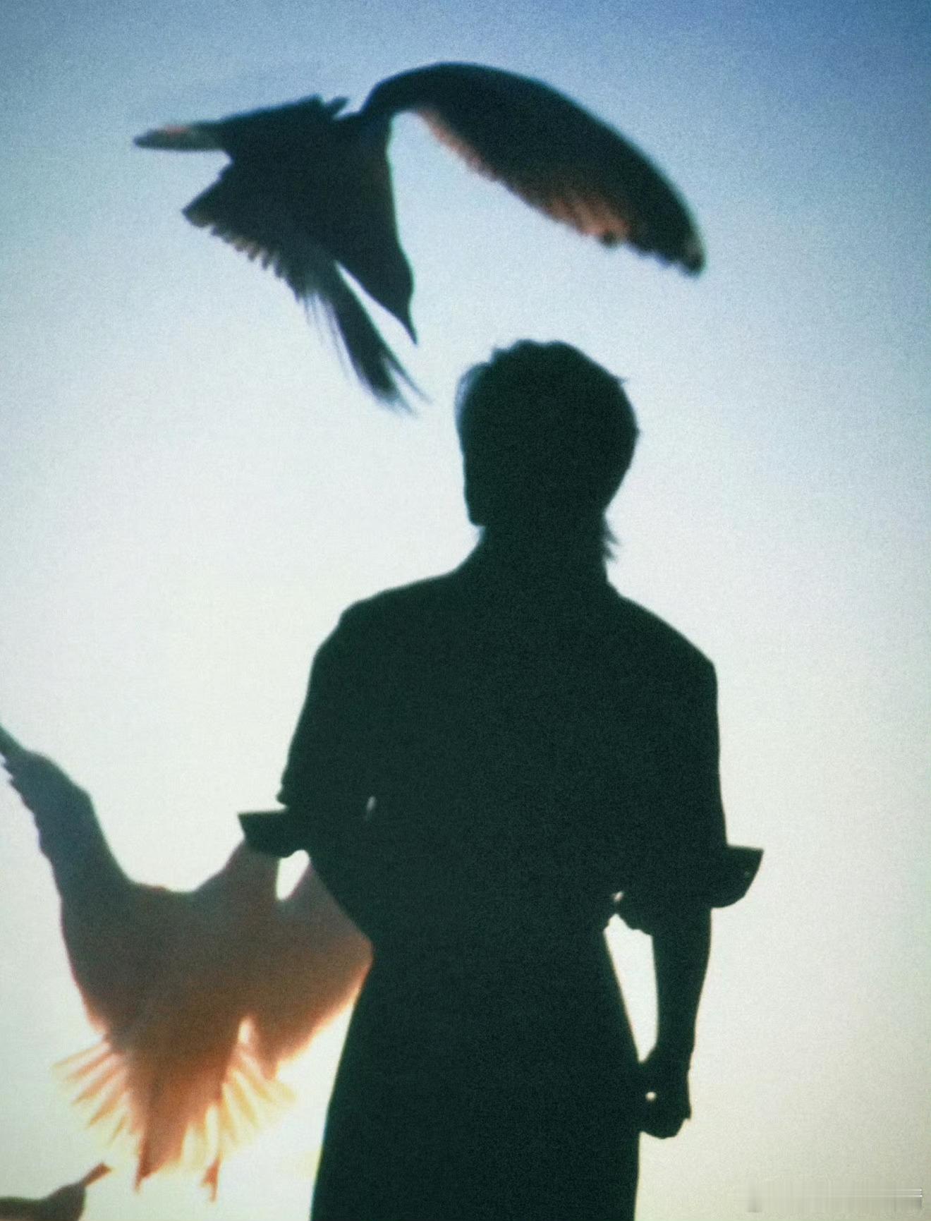 我得做出反省，之前情绪不稳定，燕雀安知鸿鹄之志，其实一切都在运筹帷幄，俺一介俗人