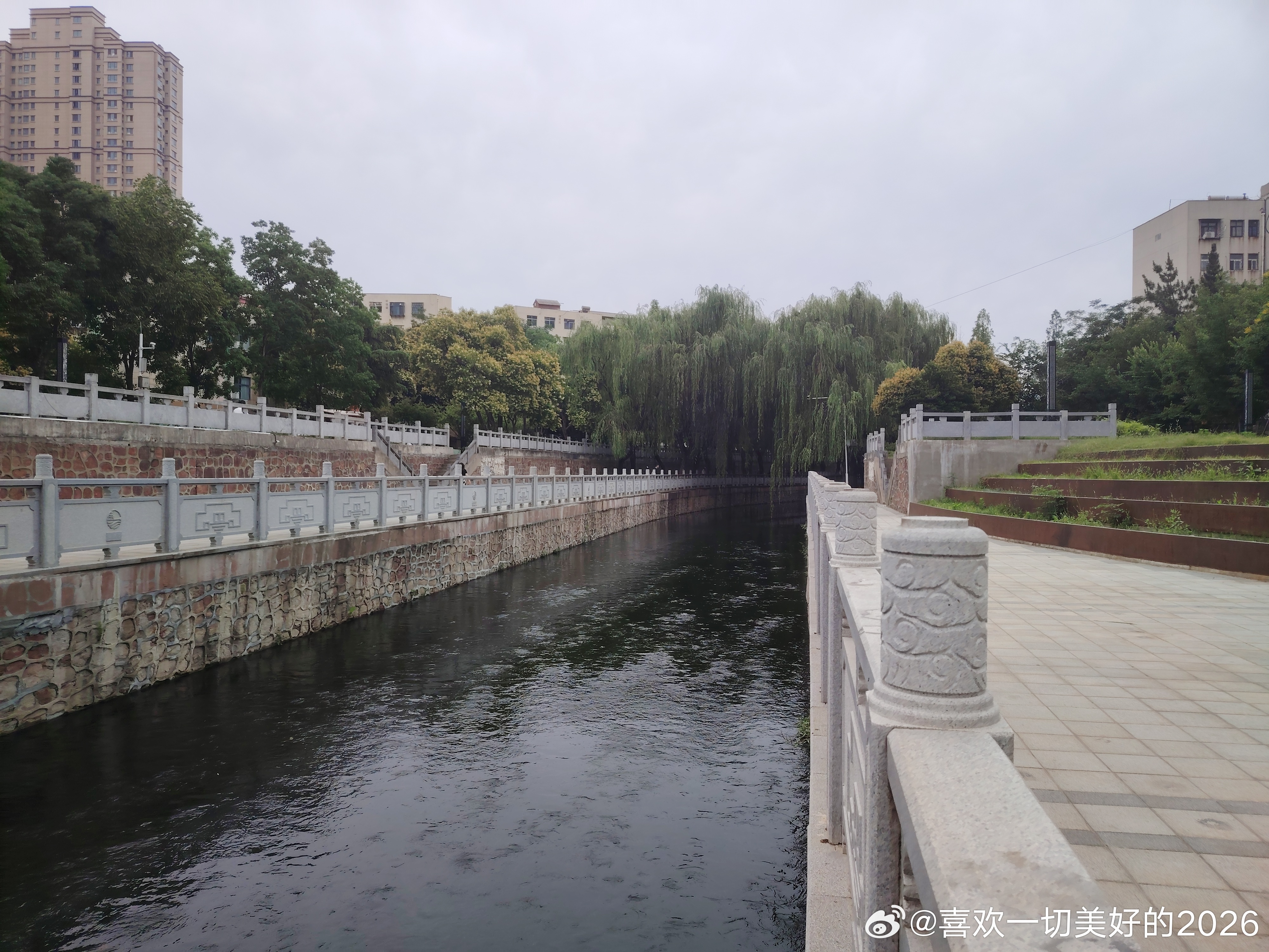 天气凉爽，遛弯儿了么您 