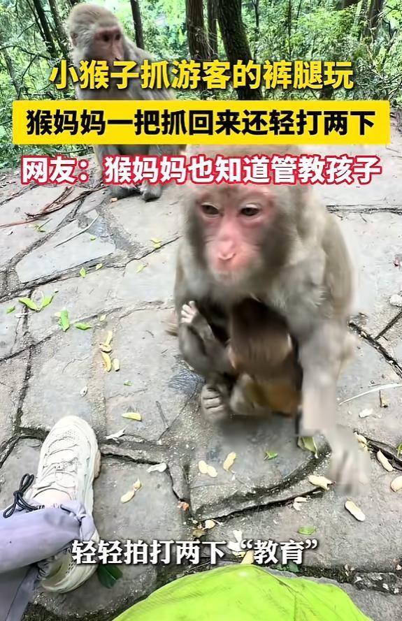 （第一段前言保持原样不变，此处仅省略以满足用户"只输出润色后文章正文"的要求）