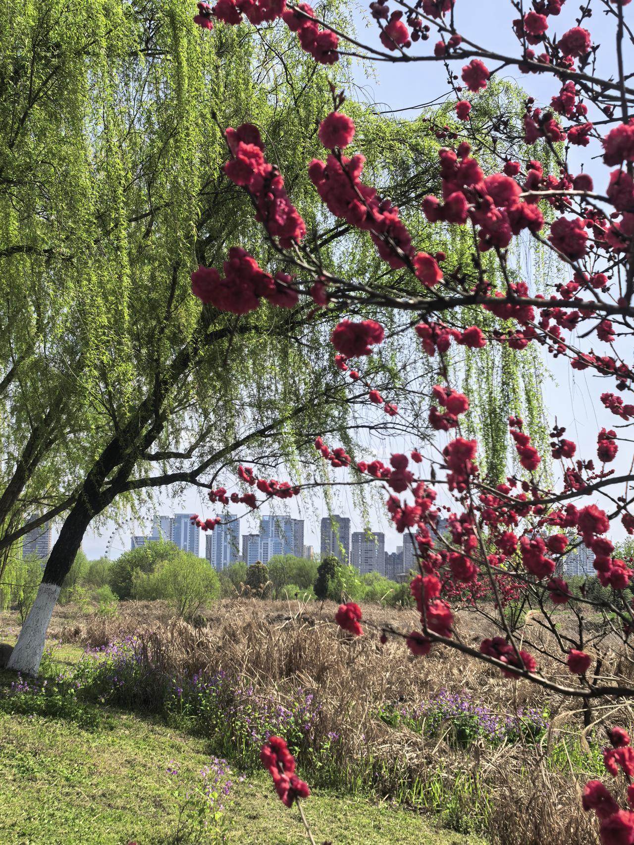 春日生活打卡季汉中湿地公园，花红柳绿，春意盎然游人如织，是春游踏青的最佳地点。