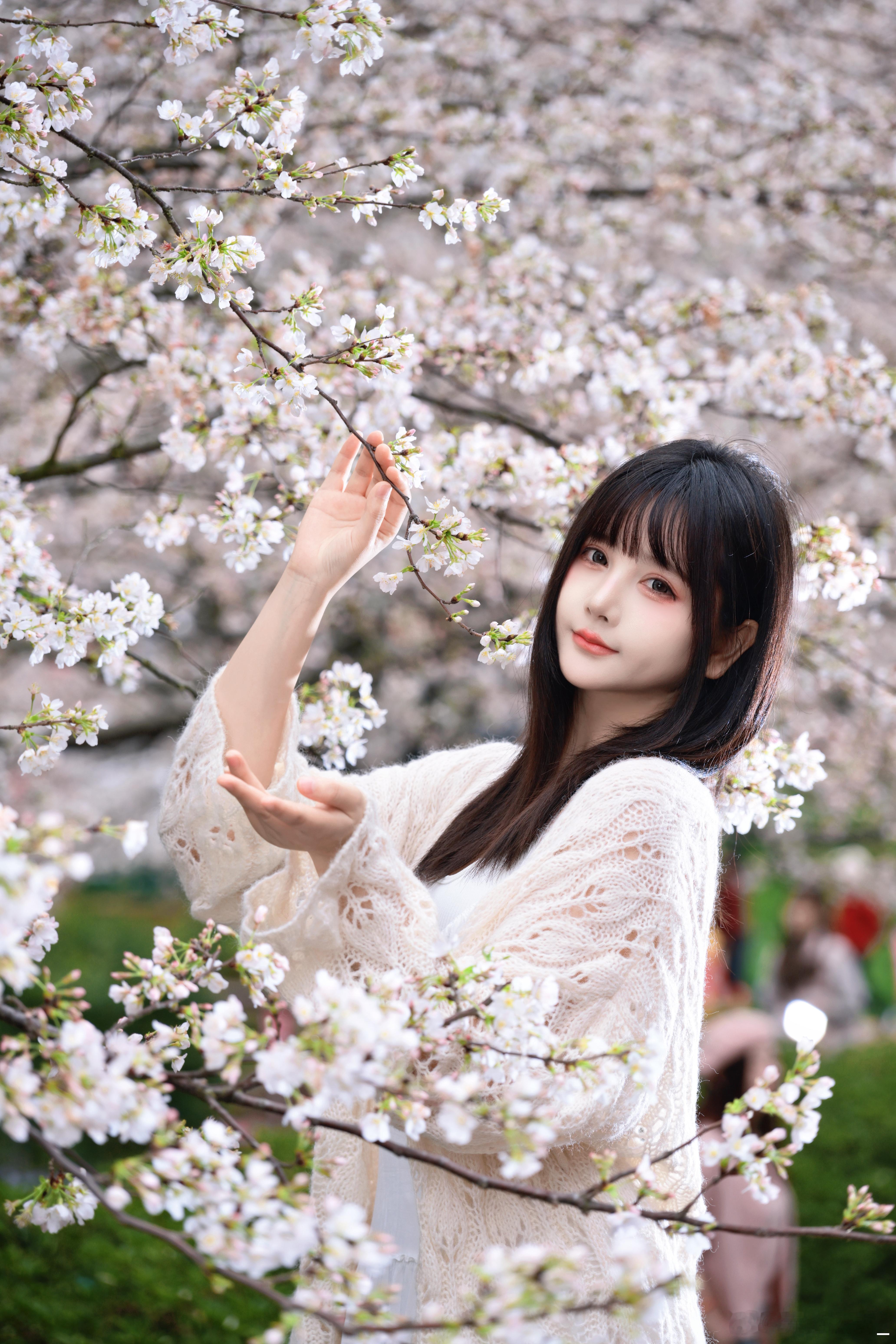 樱花树下谁站都美喜欢春天