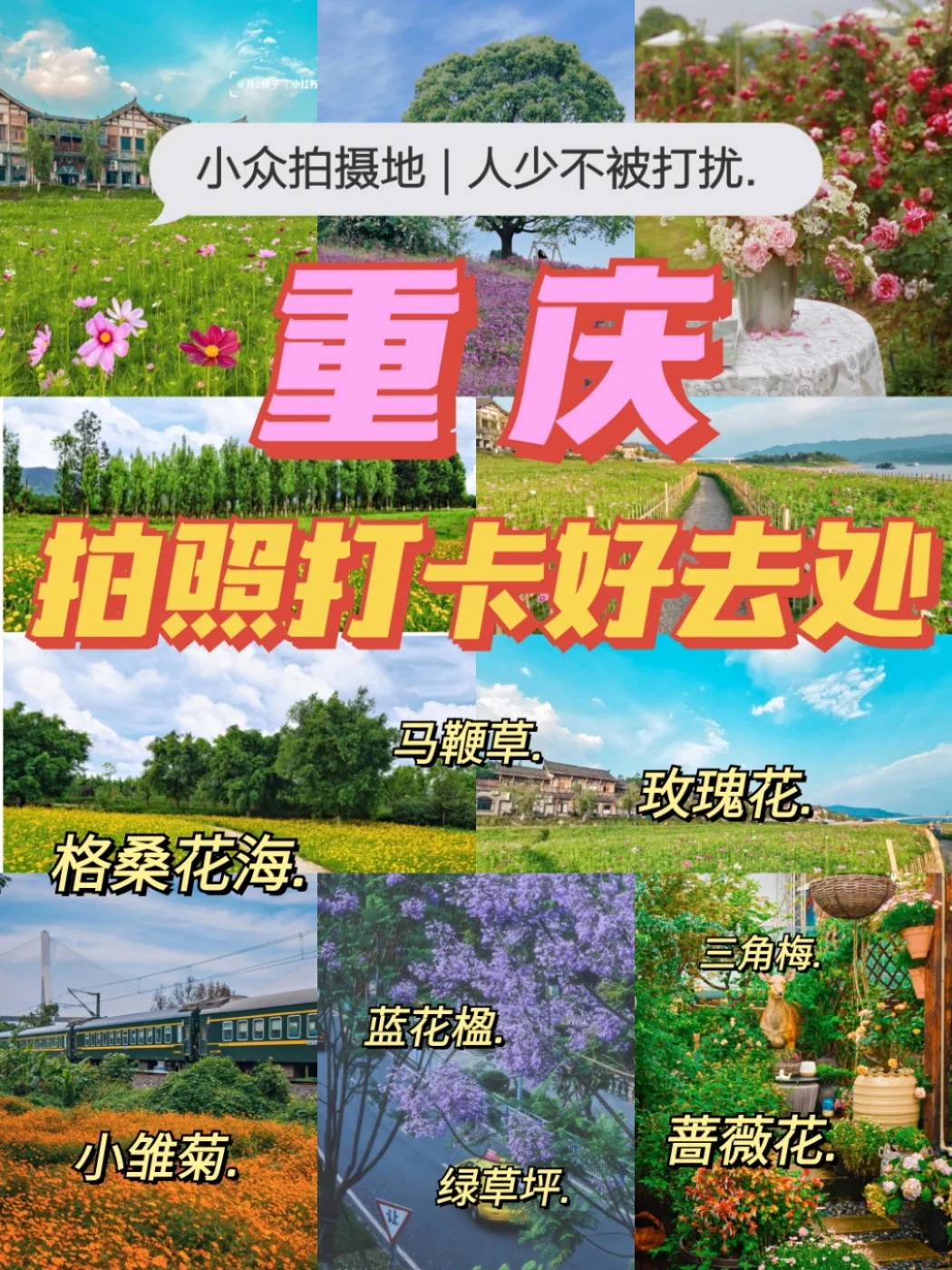 给重庆花海打个总结！1⃣0⃣种风格任你选择