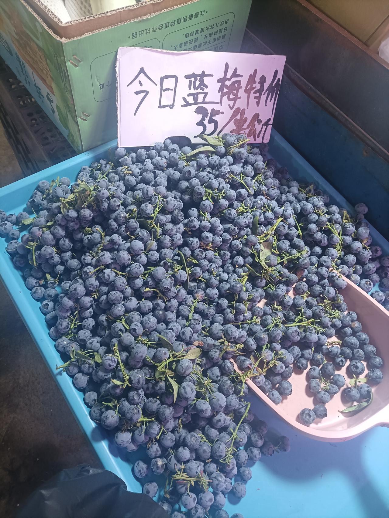 不知道大家发现没有，现在卖水果的人都学精了，蓝莓进价太贵了，原来习惯论公斤售卖，