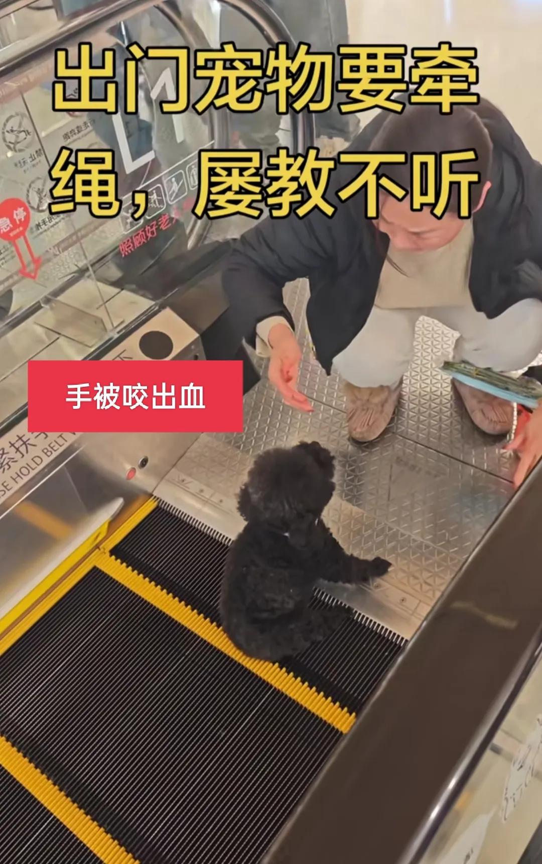 爱犬被电梯卡住了，主人救它，还被咬了一口。这小玩意儿平日可爱，关键时刻六亲不认呐