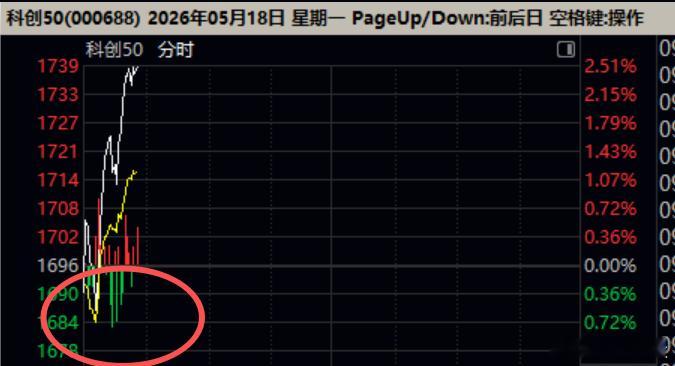 孙红雷