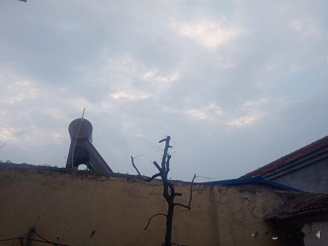 老农谚
倒春寒有没有，二月看二十九
二月二十九落了雨，天寒到谷雨
二月二十九有雨