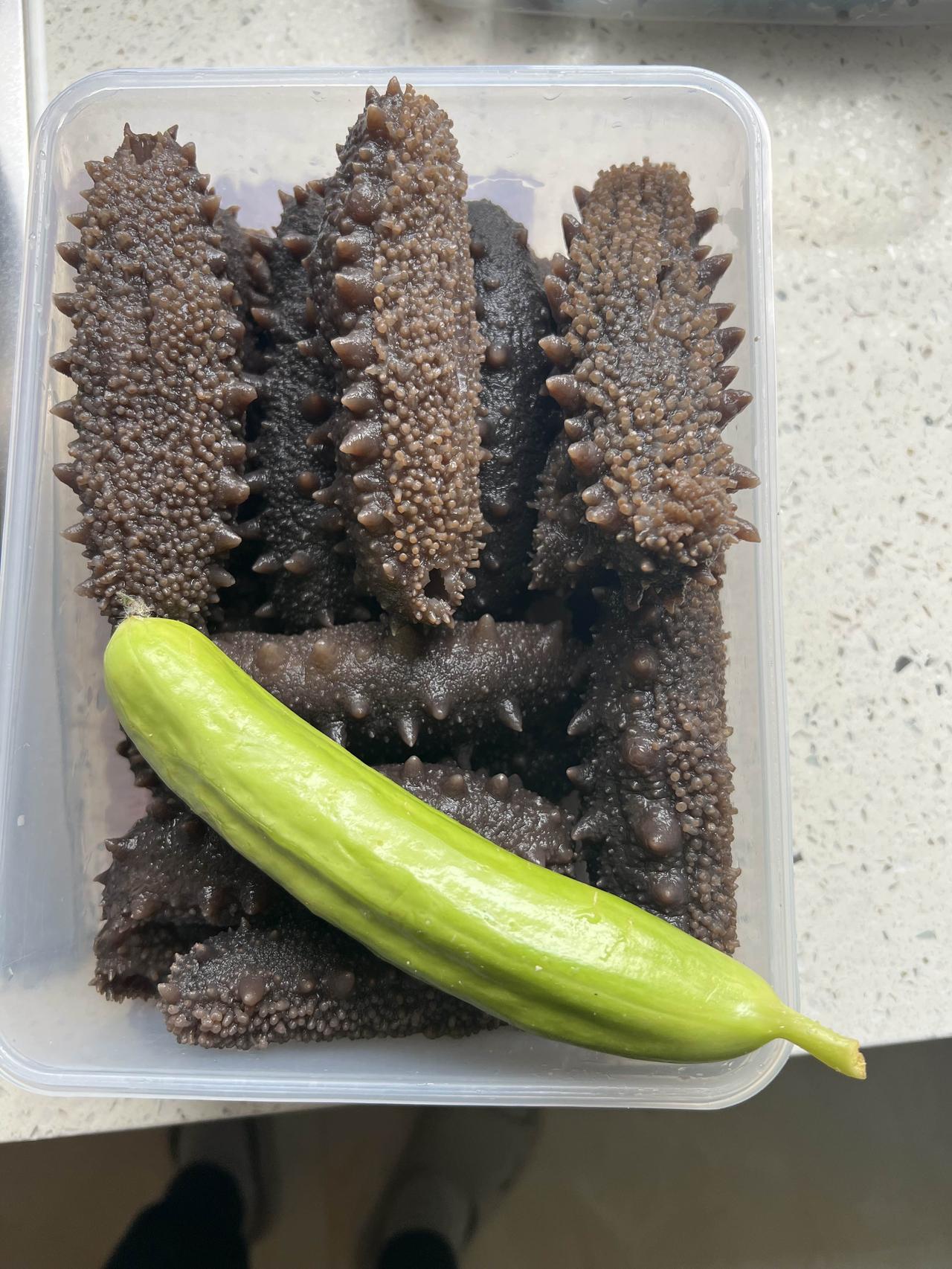 同样的海参，泡发方法不同，效果会大不一样。
看我泡发的海参，个个像小肥猪一样，看