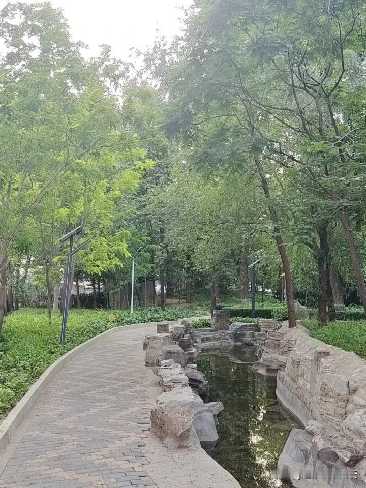 有些故事，
尽欢而散，各自安好。

有些人，
要有一生去忘记。

被记在心上，