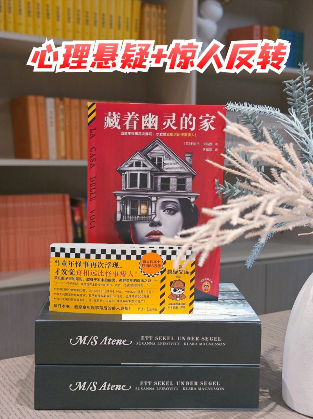 意大利国宝级悬疑作家新作，太惊悚太刺激～