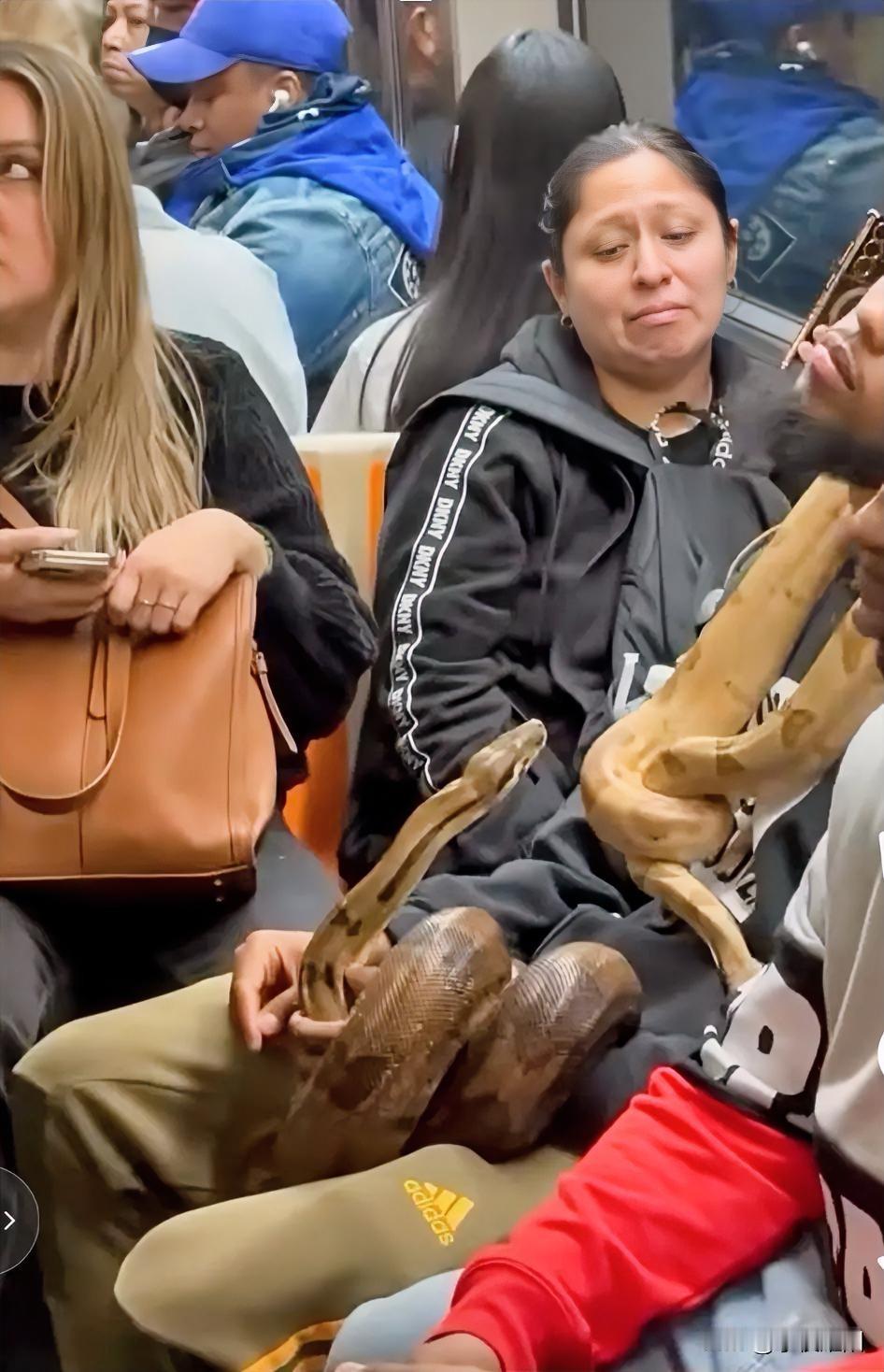 纽约地铁上真是带什么的都有。坐着的这名小伙带了两条蟒蛇，脖子上挂一条，腿上放一条