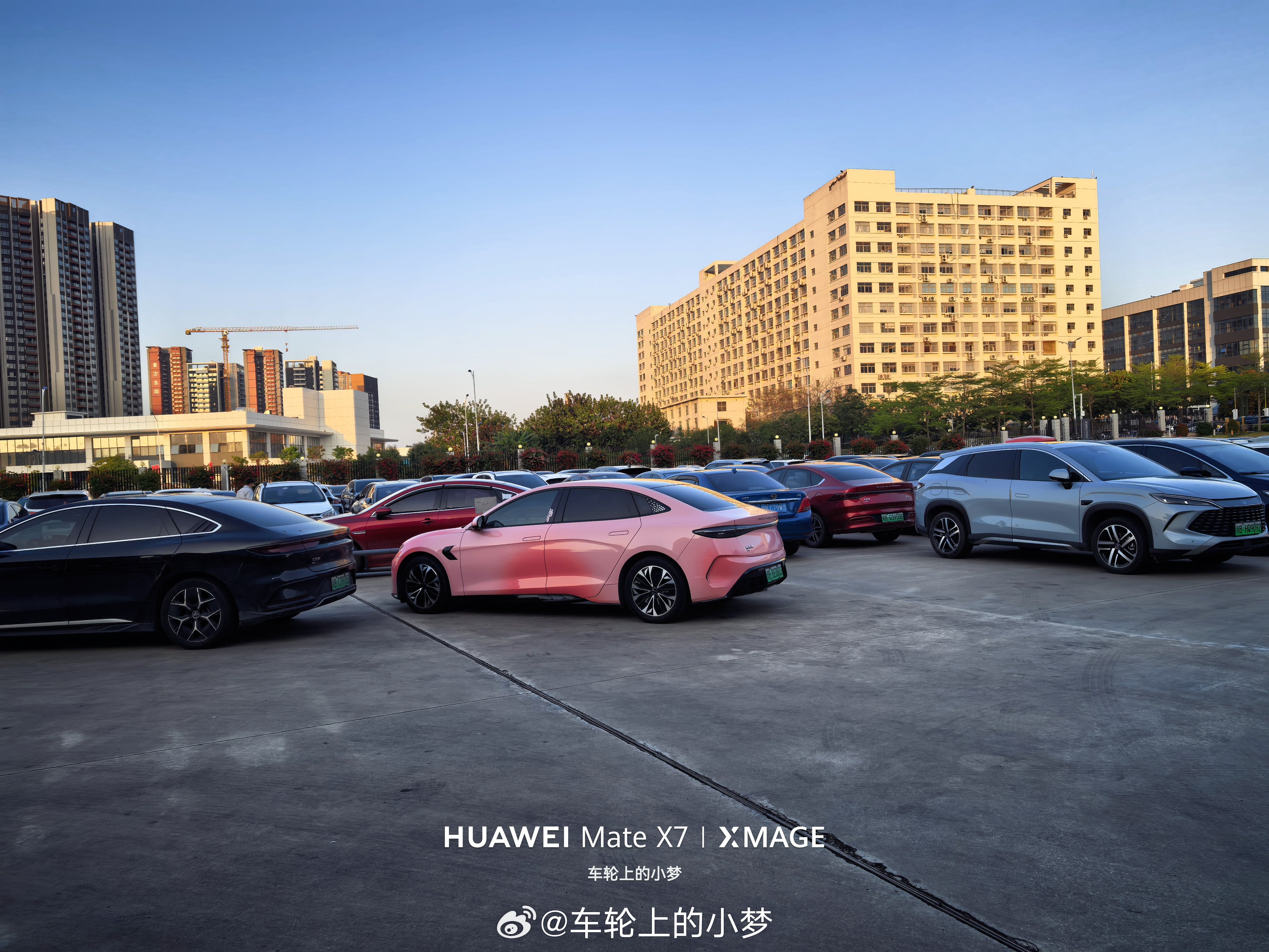 捕捉到一只小粉豹，感觉如何