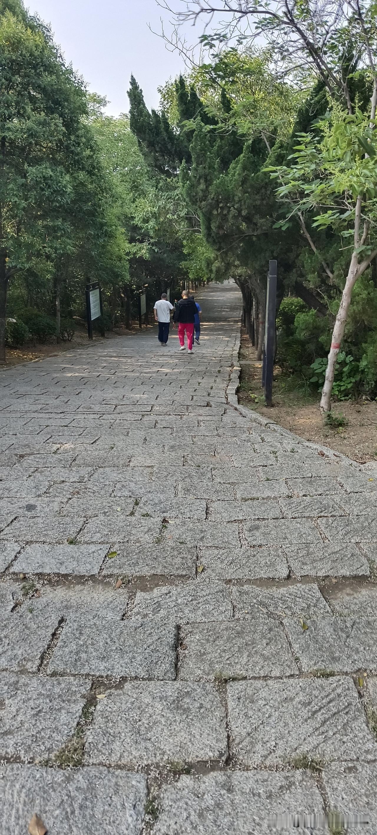 今天在公园发现一个中年男人穿着一条鲜红的裤子，别说，我认为男人穿红裤子还挺好看。