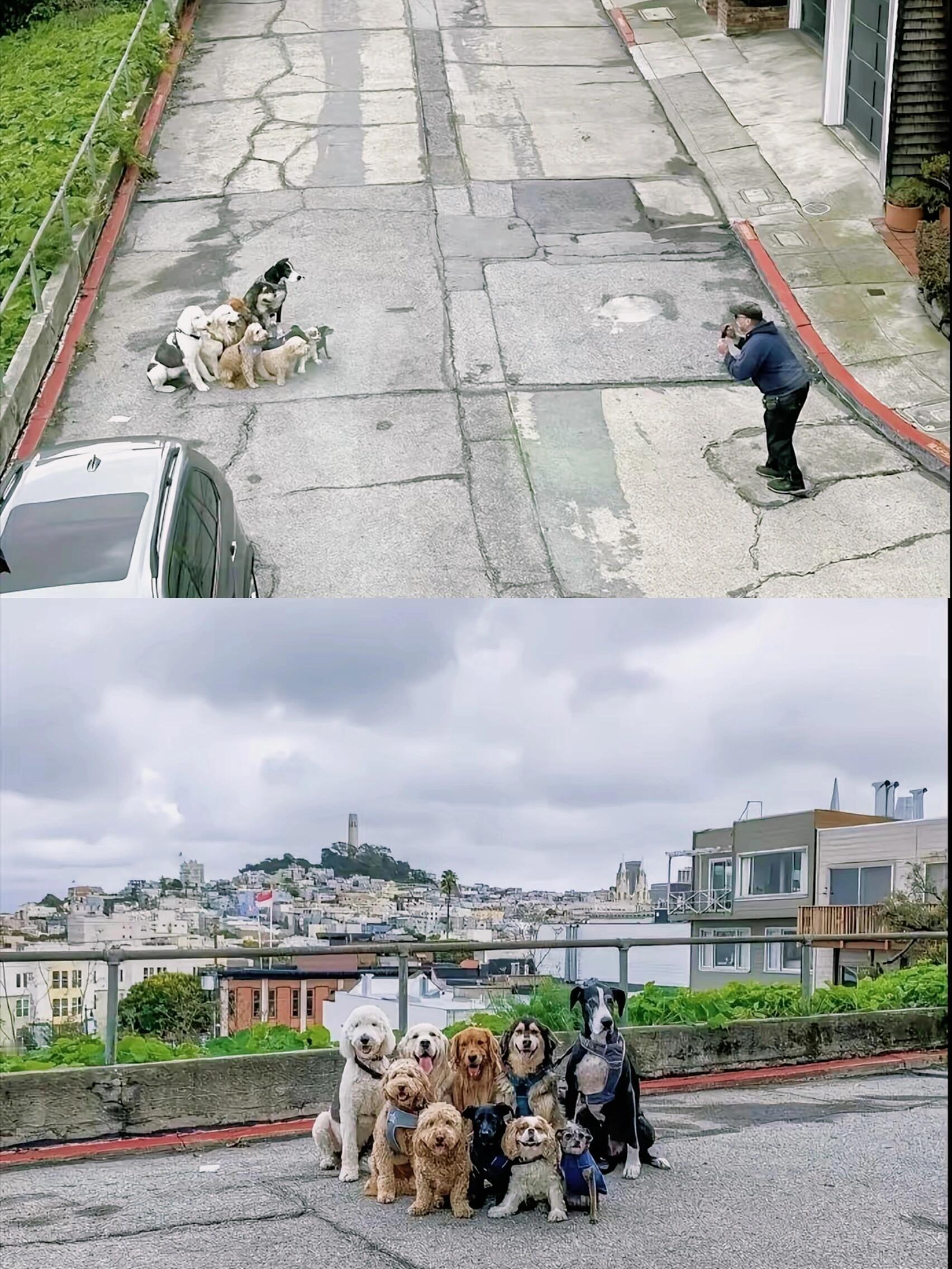 他是怎么说服它们拍下这张照片的呀？ 