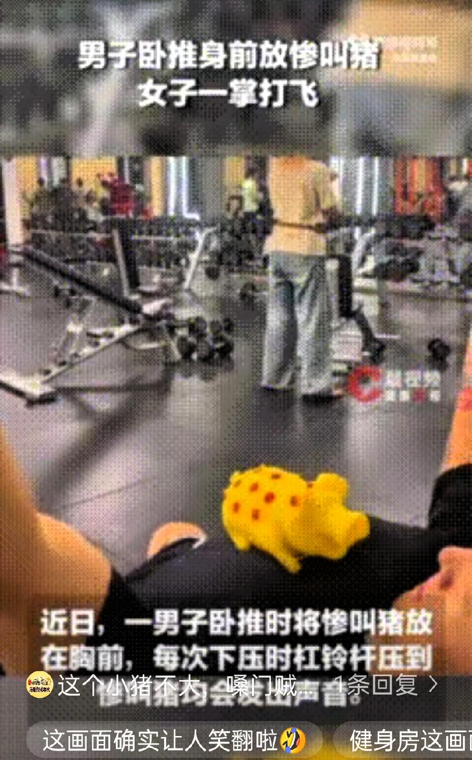 健身房里，一男子卧推时把“惨叫猪”玩具放胸口，杠铃一压就哼哼叫一声。男子反复尝试