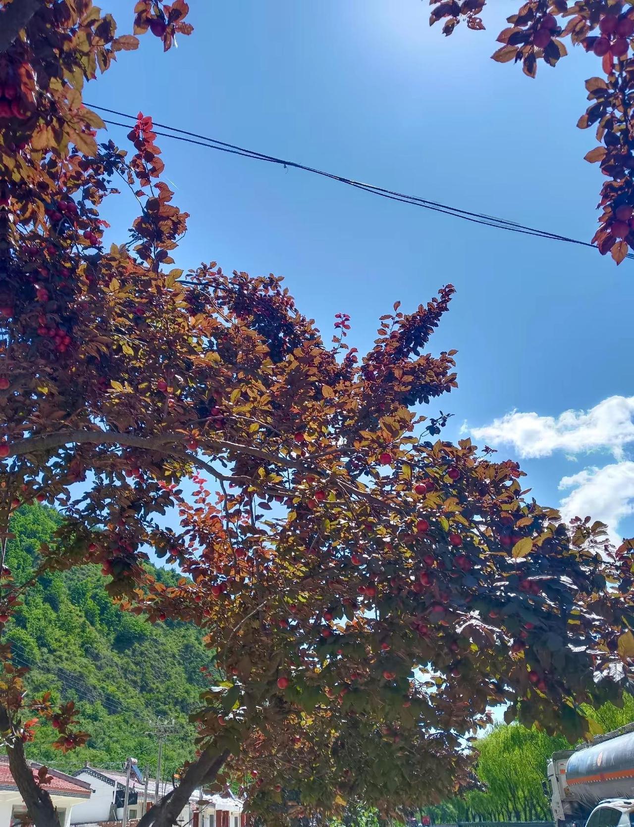 属于小人物的幸福大概就是：漂泊大雨有人接送。每天下班可以一起牵手回家，可以一起制