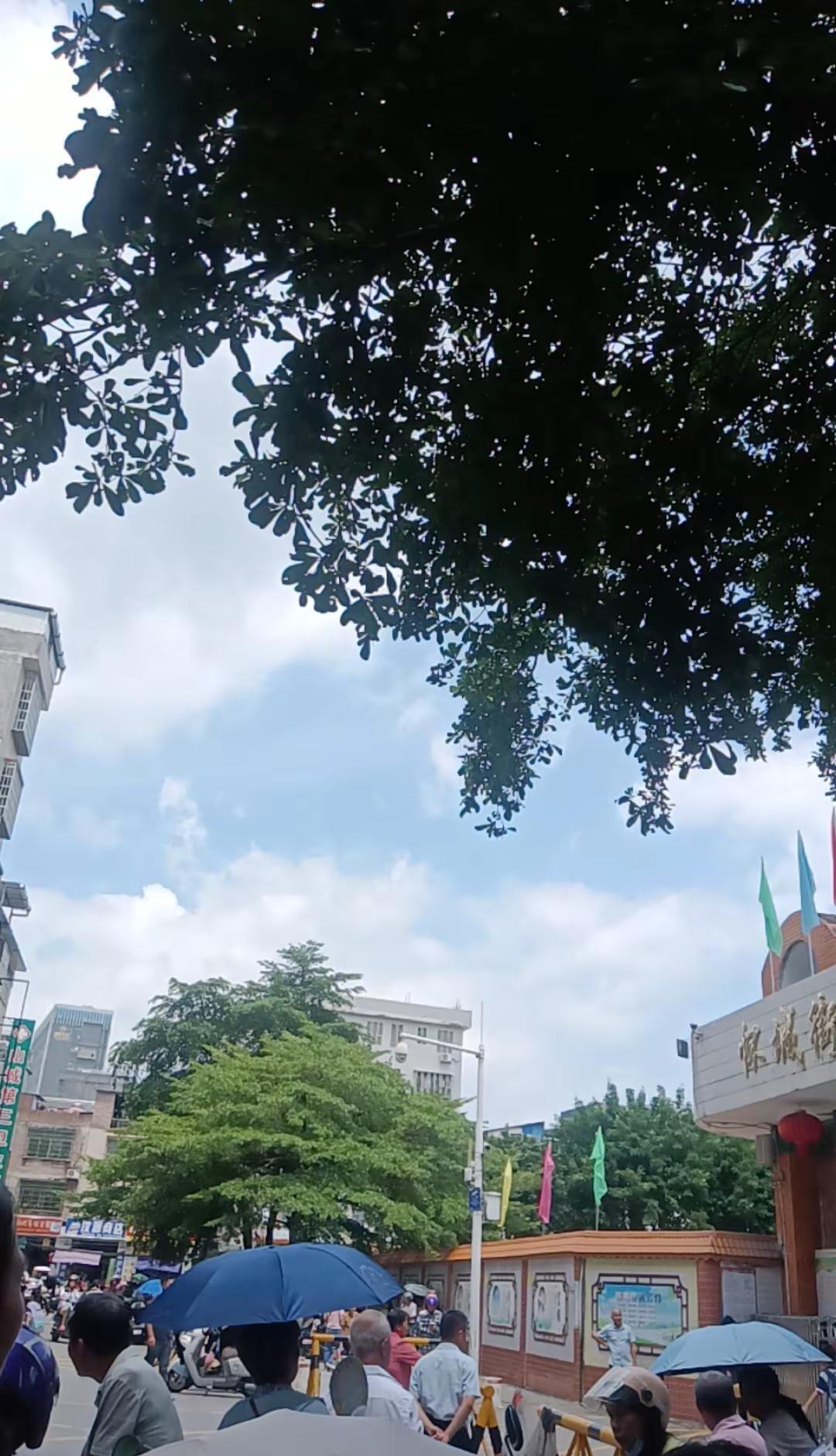 这个鬼天气真的好热高温天气 街景随拍 熟悉的城市