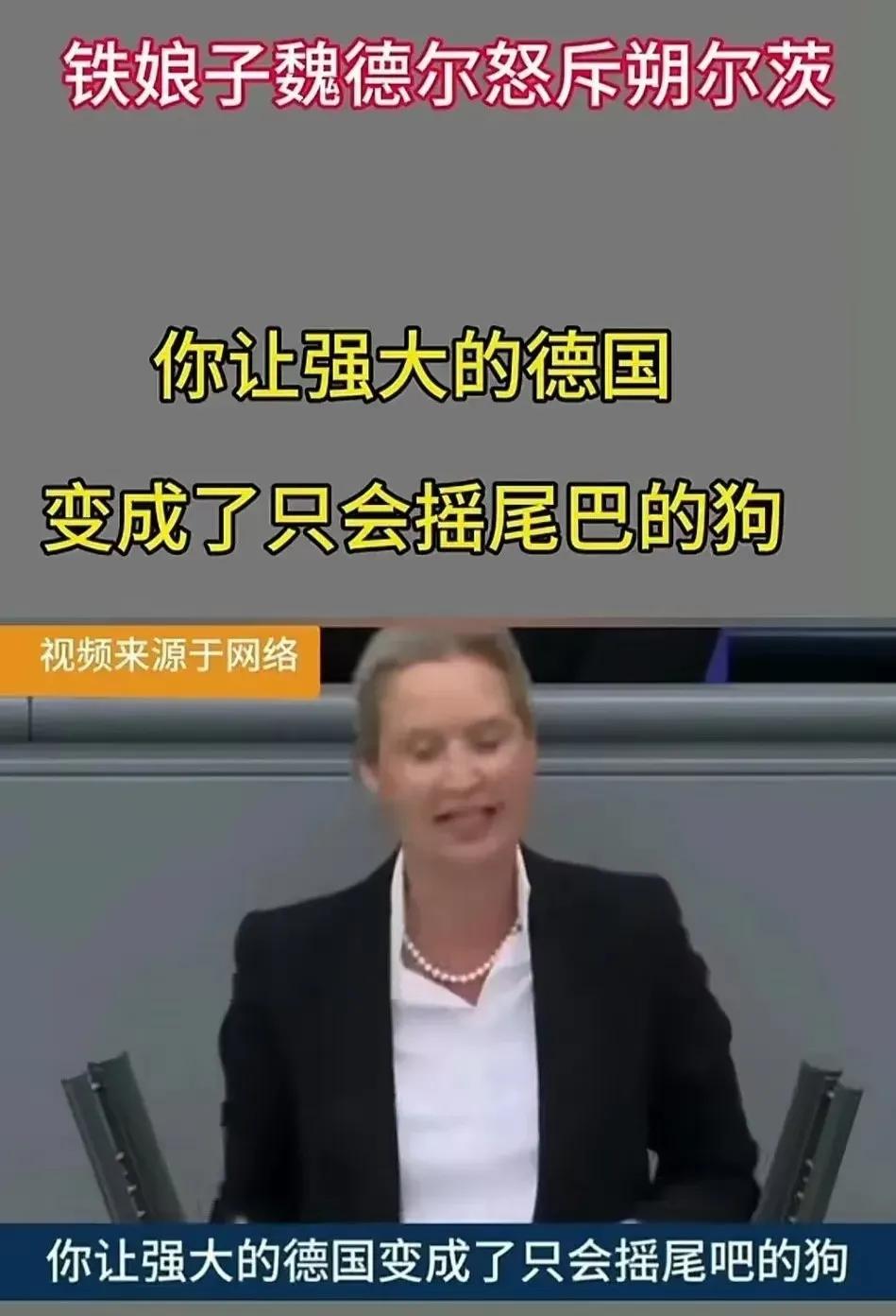 魏德尔的话发人深省，铁娘子魏德尔怒斥朔尔茨“你让强大的德国变成了只会摇尾巴的狗”