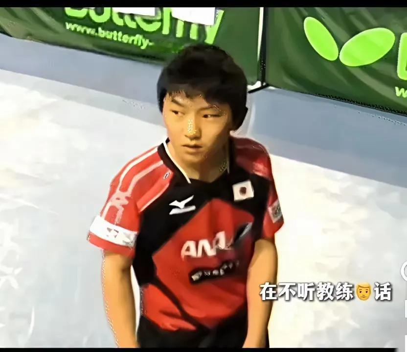 最丑的是张本智和
最可爱的是戴眼镜的小布
你们认同吗？