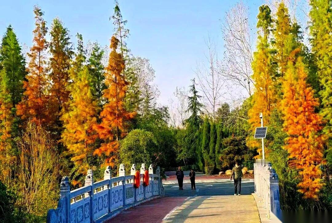 这辈子，走过最长的路，
就是某些攻略里轻飘飘一句，“步行可达”。
真的。
被网上