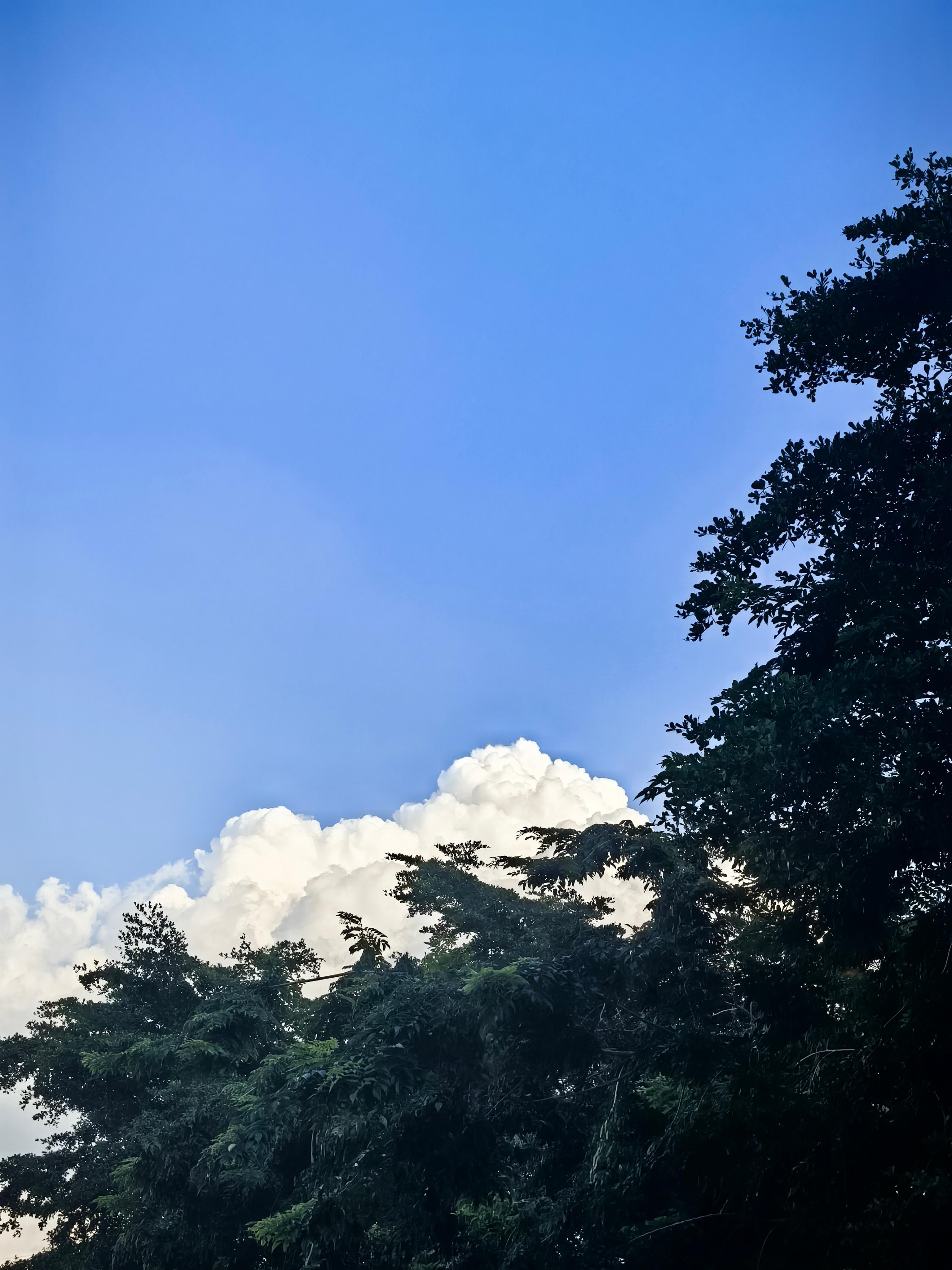咔嚓一夏 ​​​