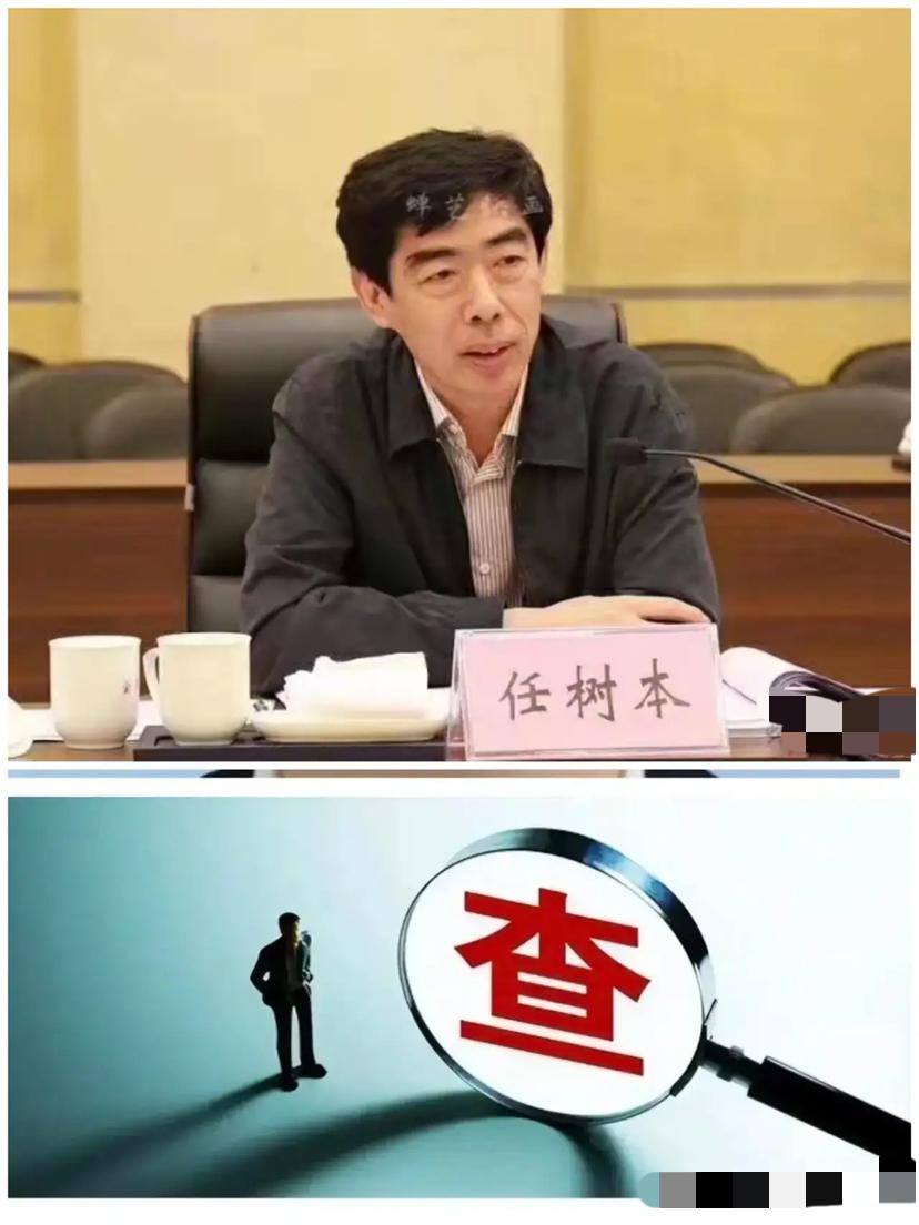 ……在中纪委网站看到一则通报，发改委资源节约和环境保护司原司长、招标投标协会原会
