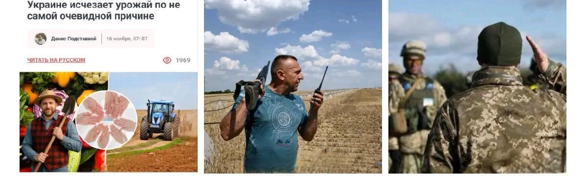这是一场灾难：由于所有男性都被征召入伍，乌克兰的庄稼颗粒无收——《电讯报》。
