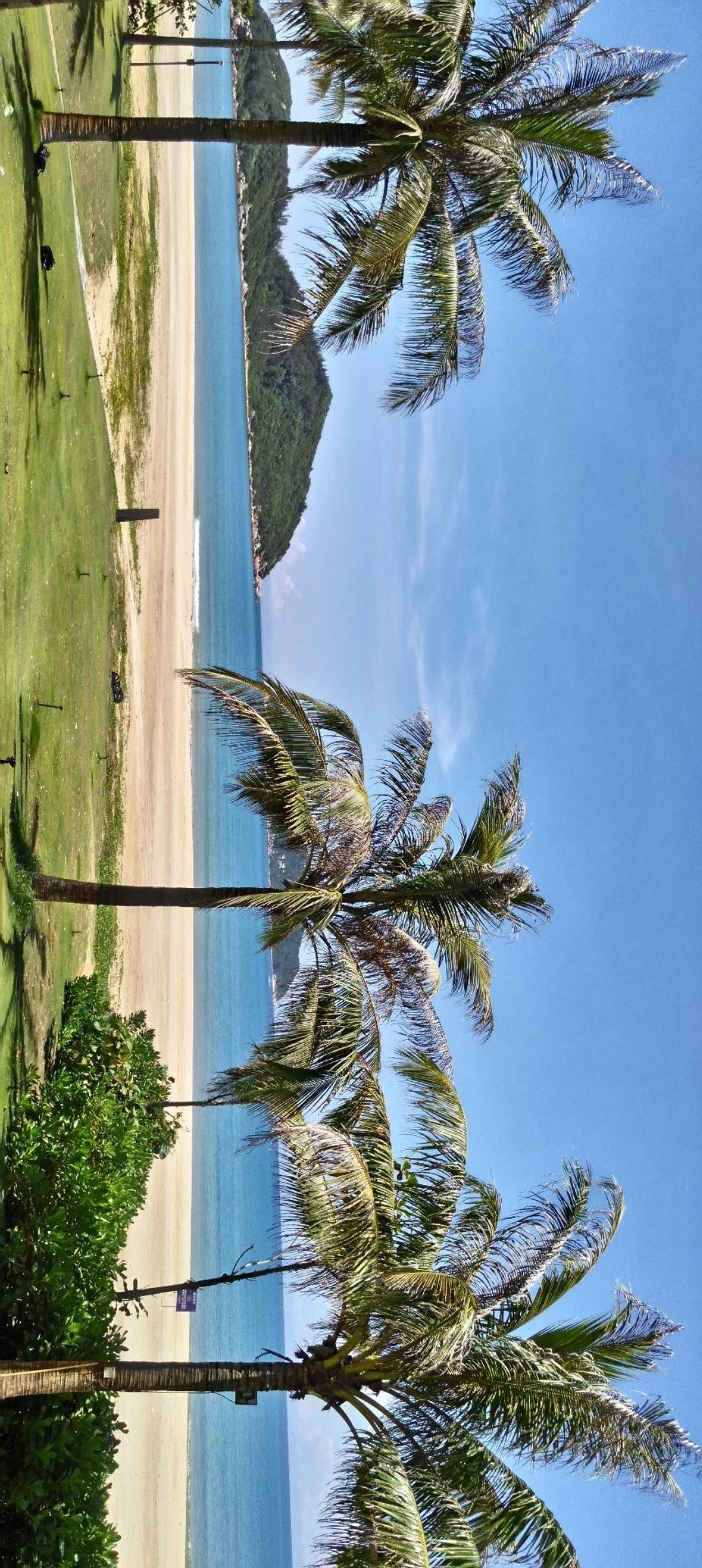 蓝天白云下，椰林掩映的海滩，静谧而美丽。🏖️🌴🌊