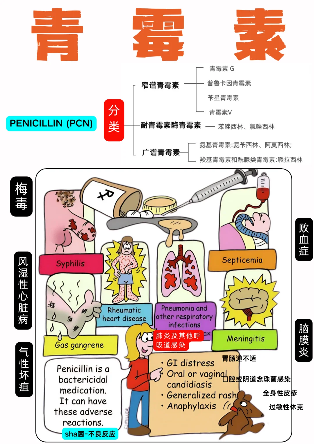 备考RN/青霉素！！学！！单词
