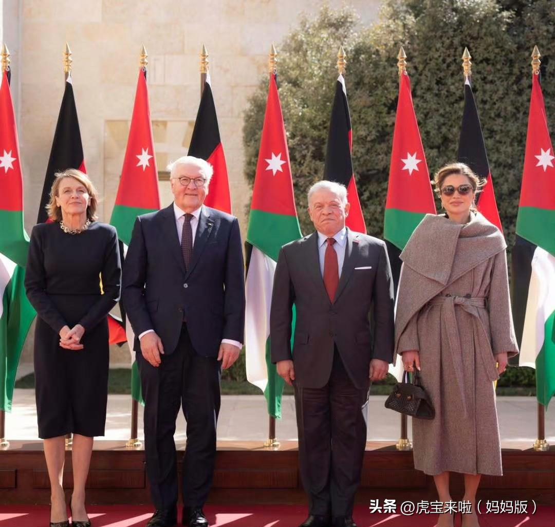 国王夫妇迎接德国总统夫妇！拉尼娅王后以后美丽迷人！