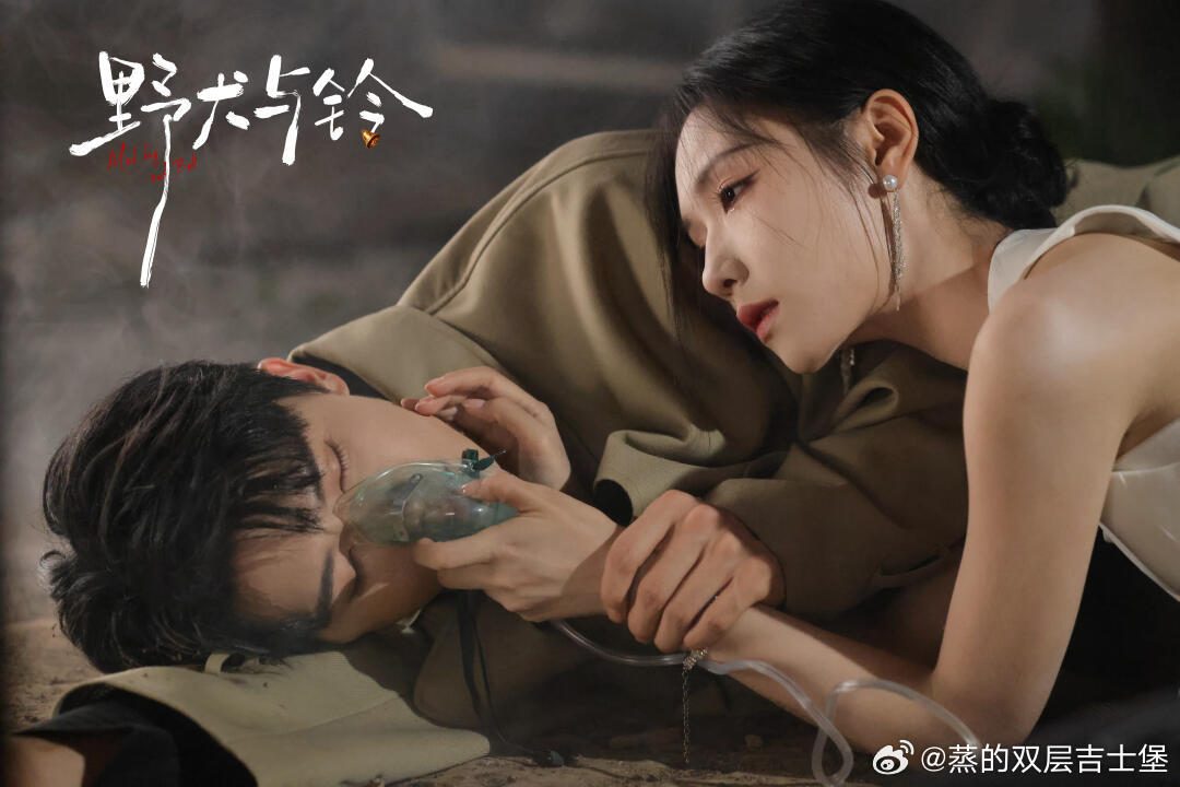 🎞️王云云杨泽『野犬与铃』剧照合集 