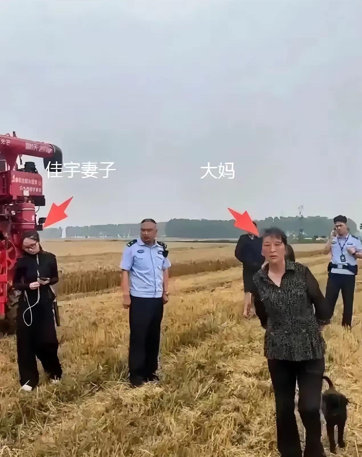 湖北襄阳“割四赔五”事件中，大妈是过错方毋庸置疑，但村主任也有不可推卸的责任，如