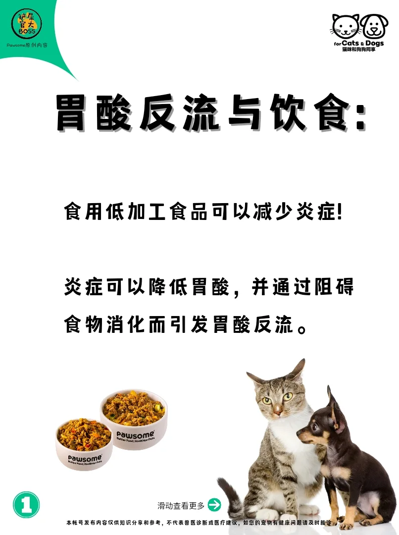 胃酸反流与饮食